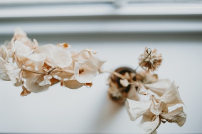 Close-up of soft beige and blue-gray tones with subtle funeral details.