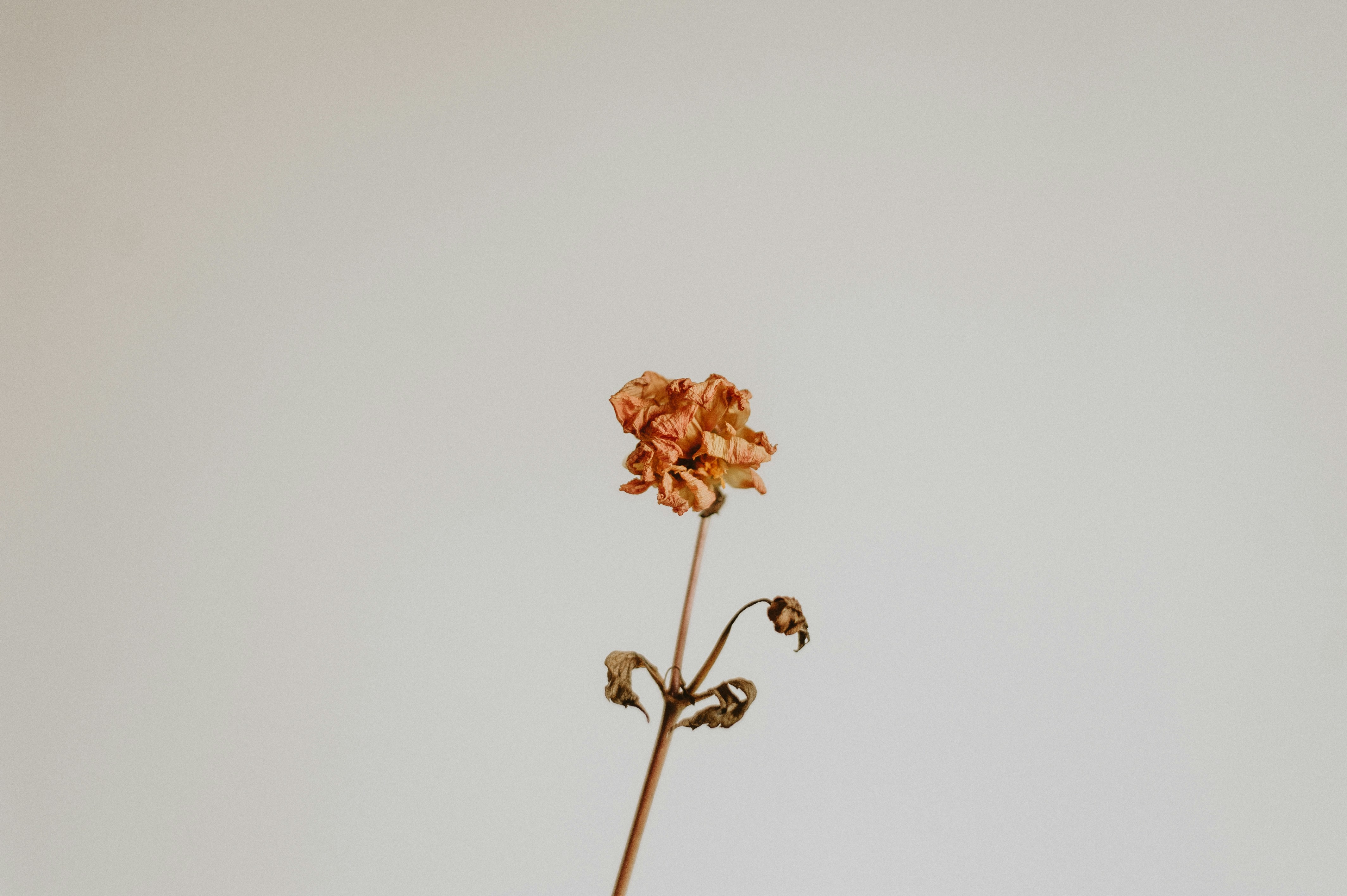 Photo by prairiepilgrim