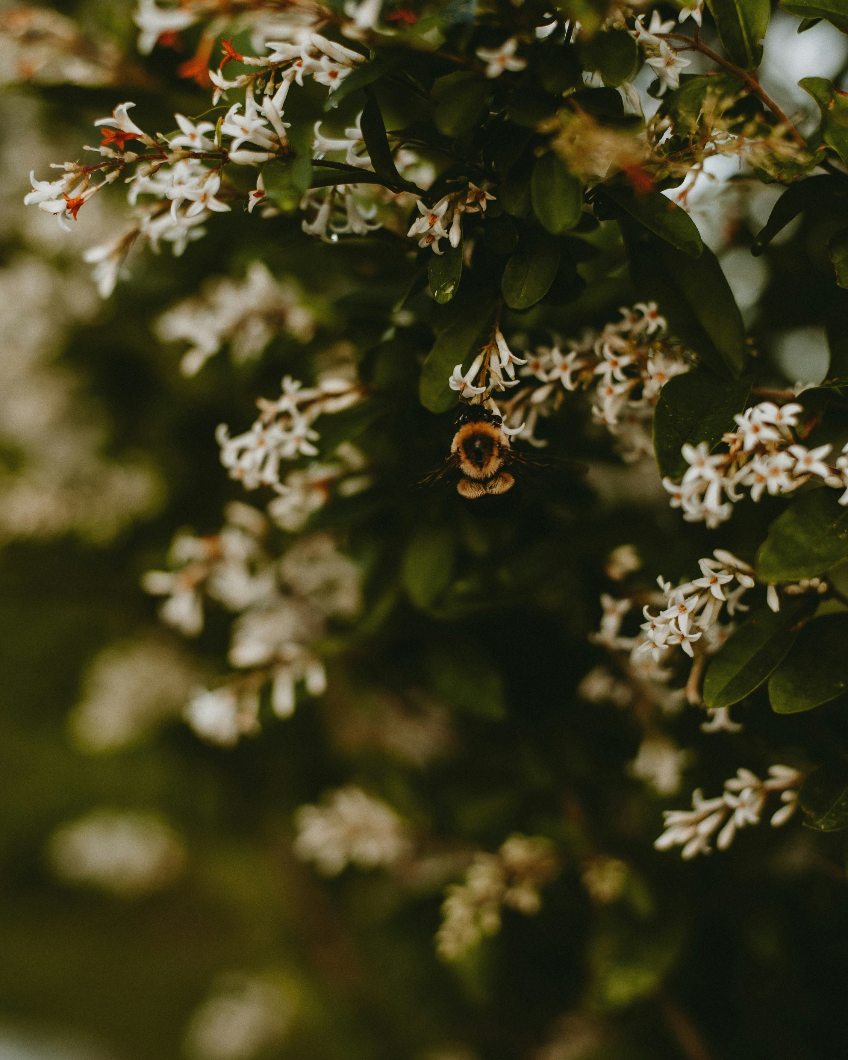 Photo by prairiepilgrim