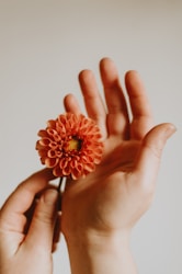 a person holding a flower in their hand