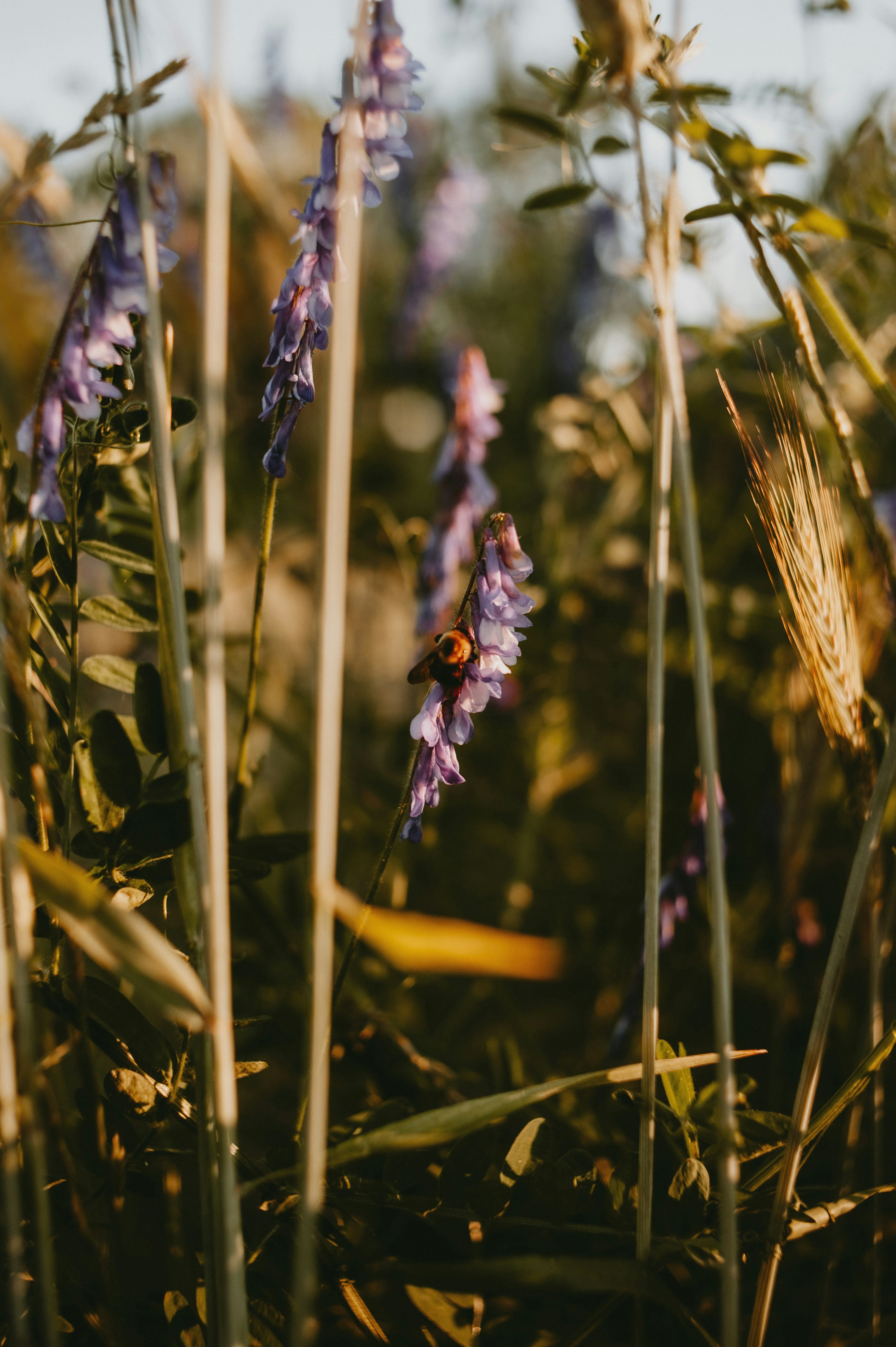 Photo by prairiepilgrim