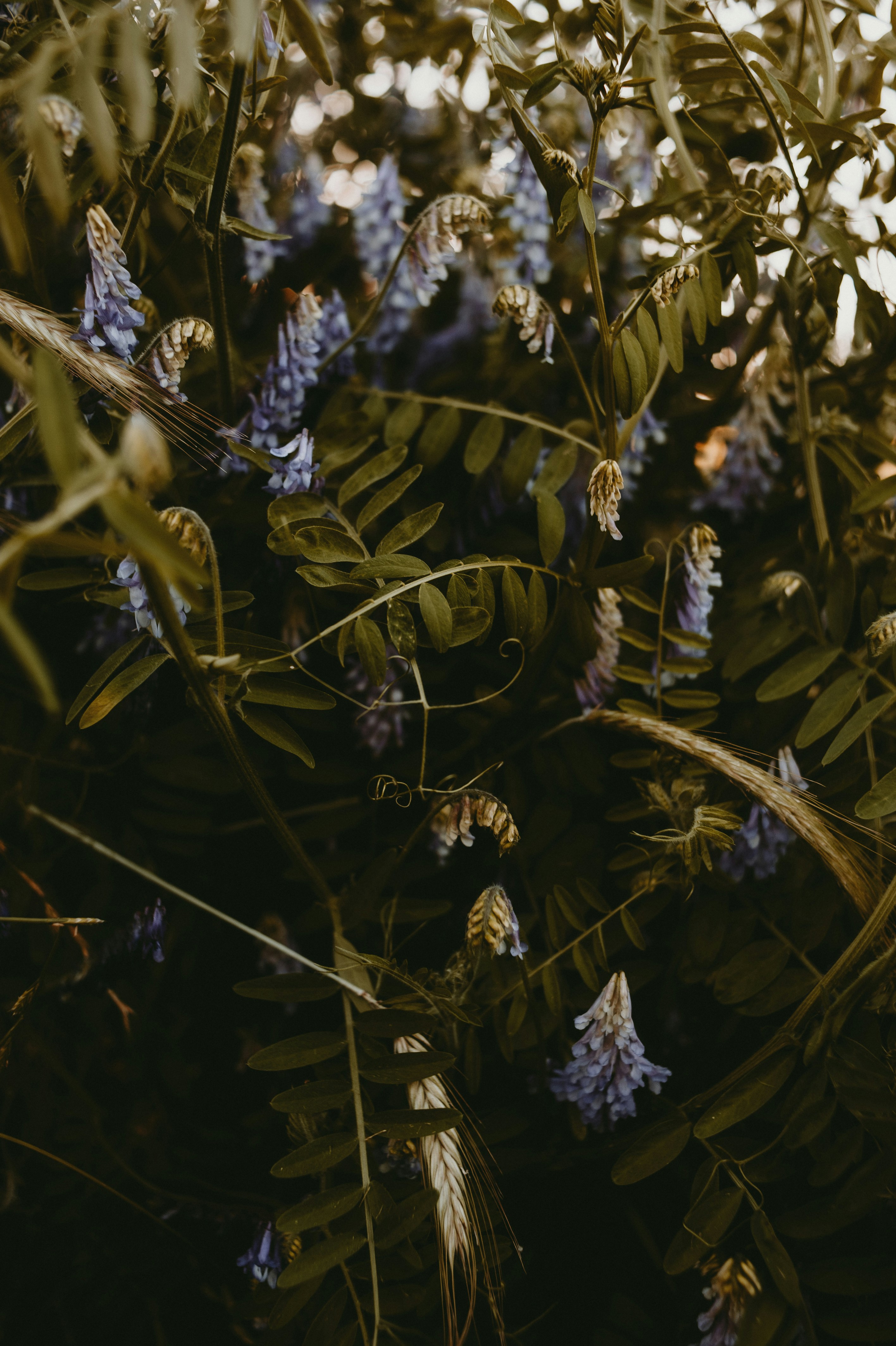 Photo by prairiepilgrim