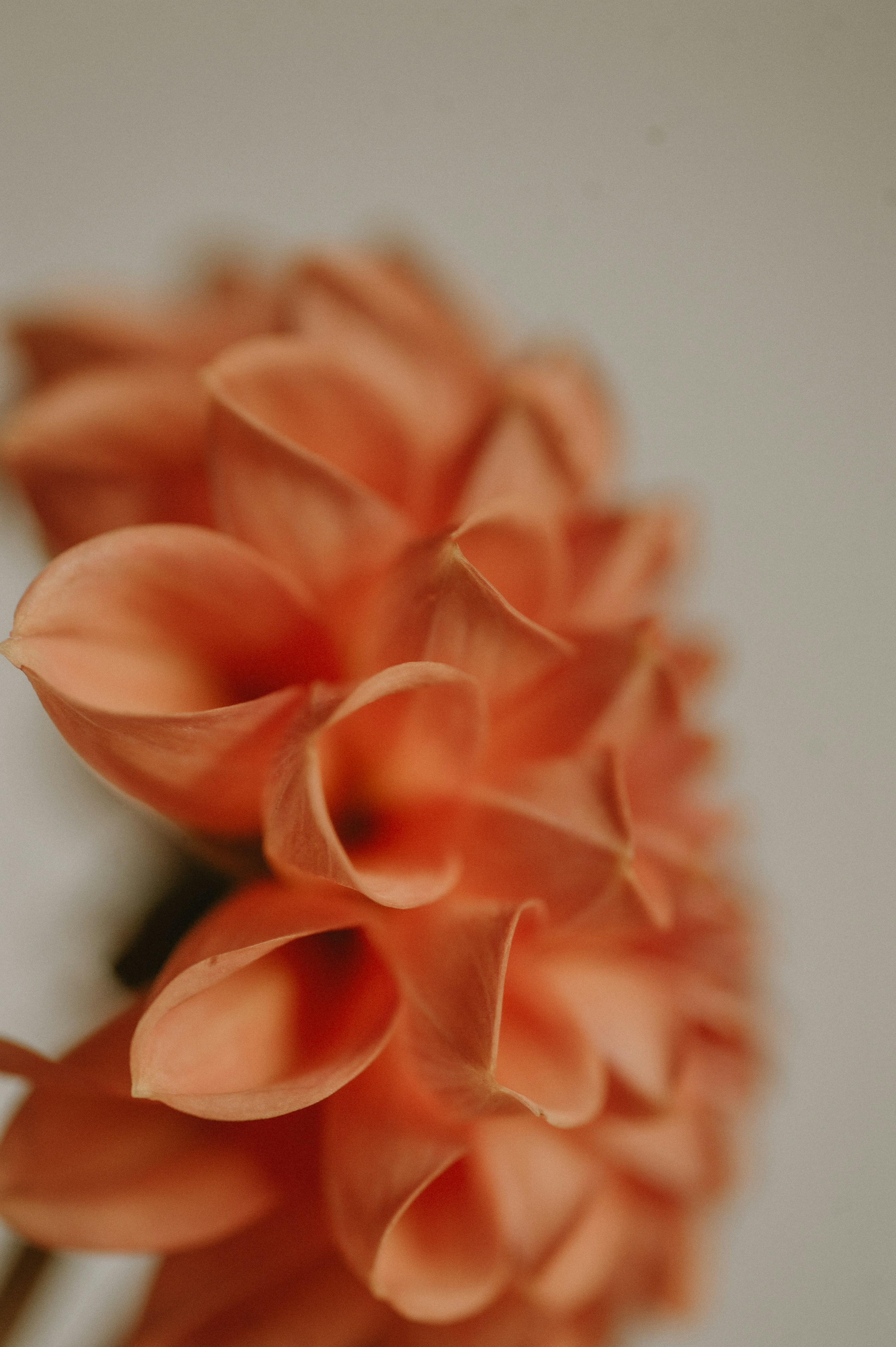 Photo by prairiepilgrim