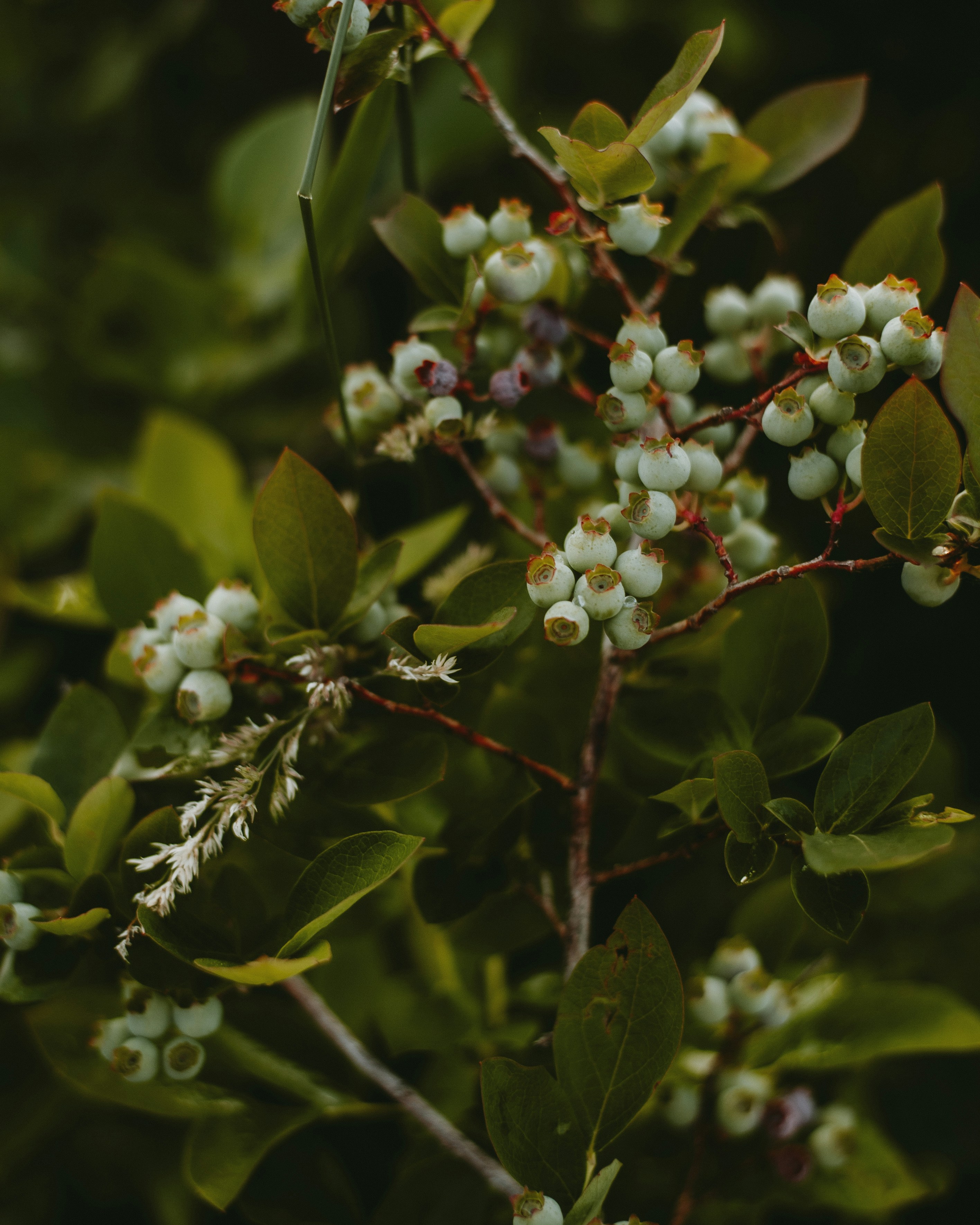 Photo by prairiepilgrim