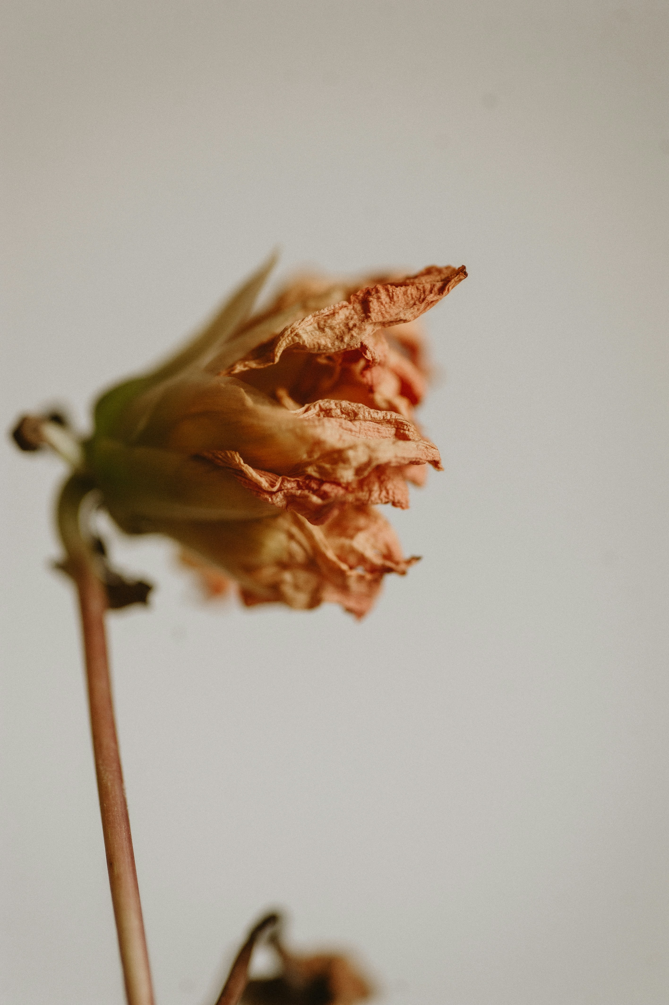 Photo by prairiepilgrim