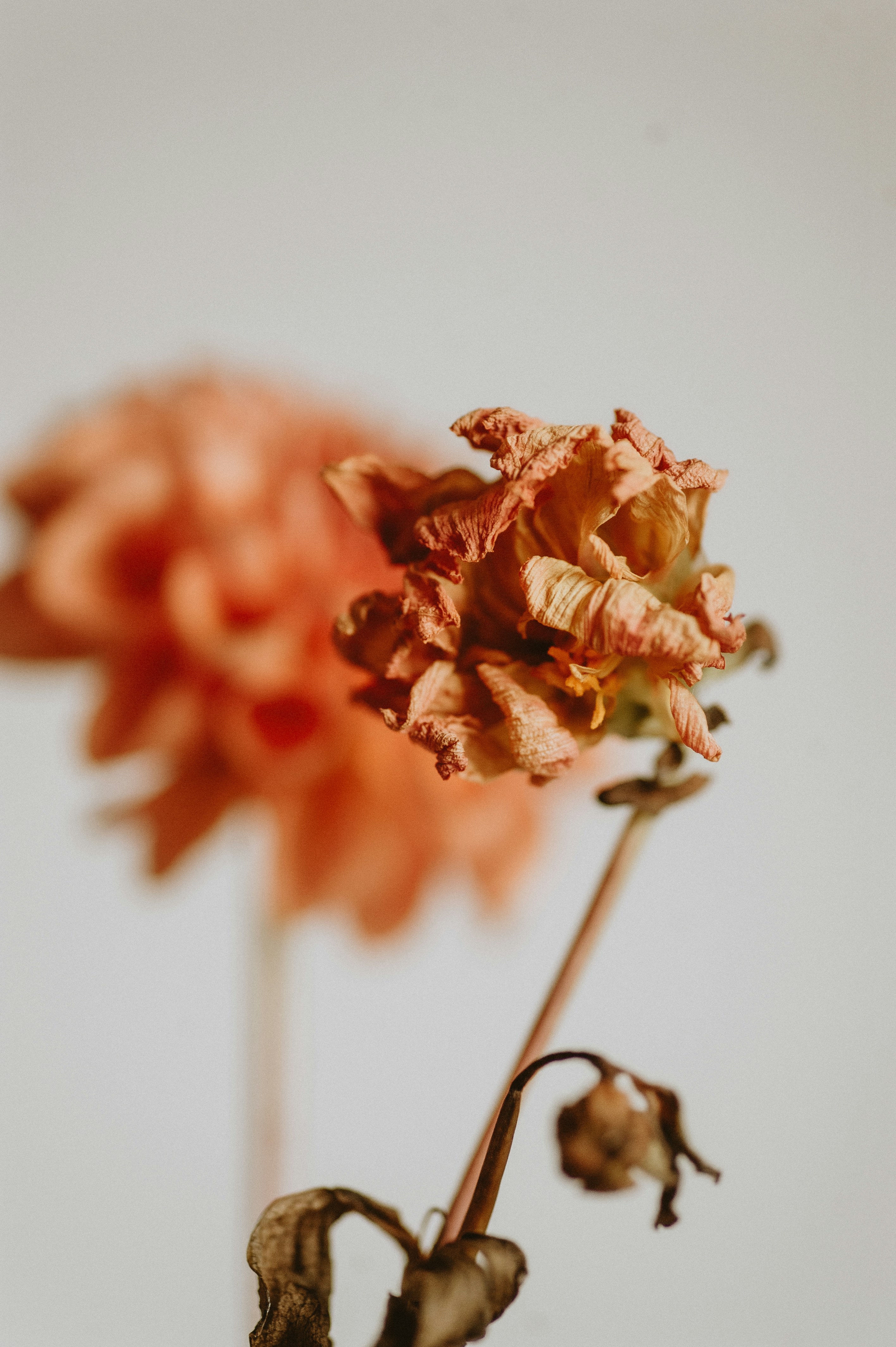 Photo by prairiepilgrim