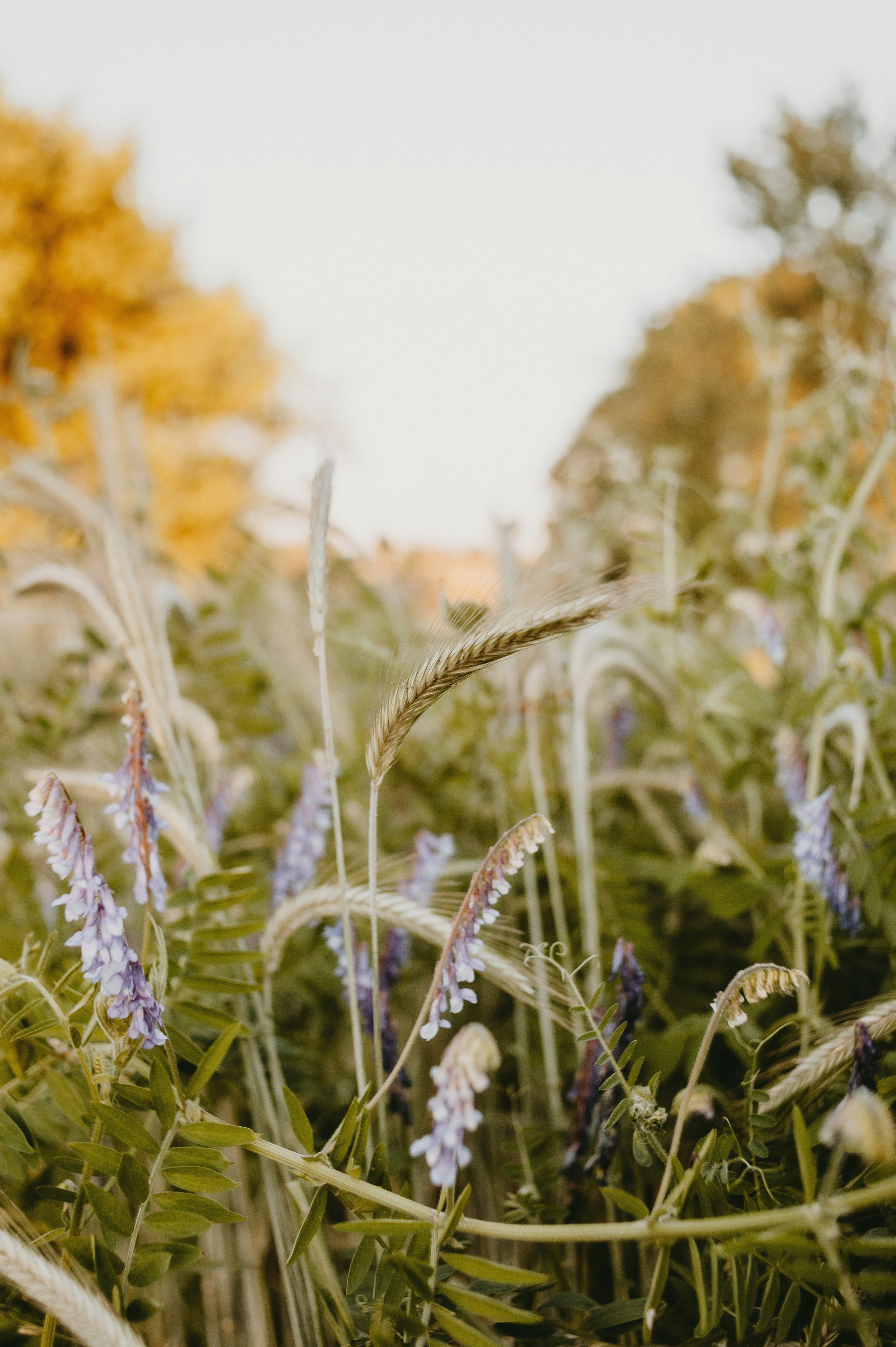 Photo by prairiepilgrim