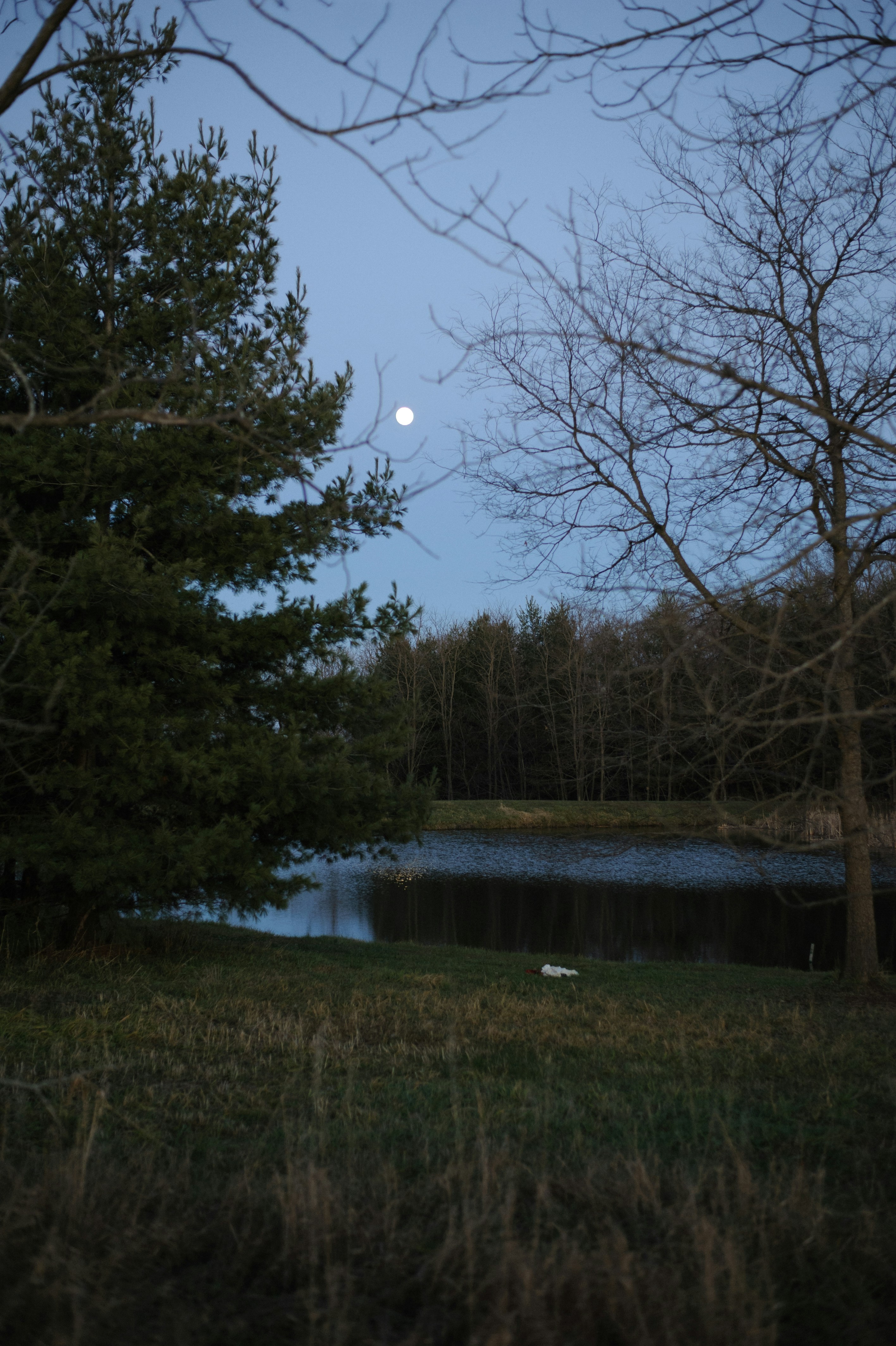 Photo by prairiepilgrim