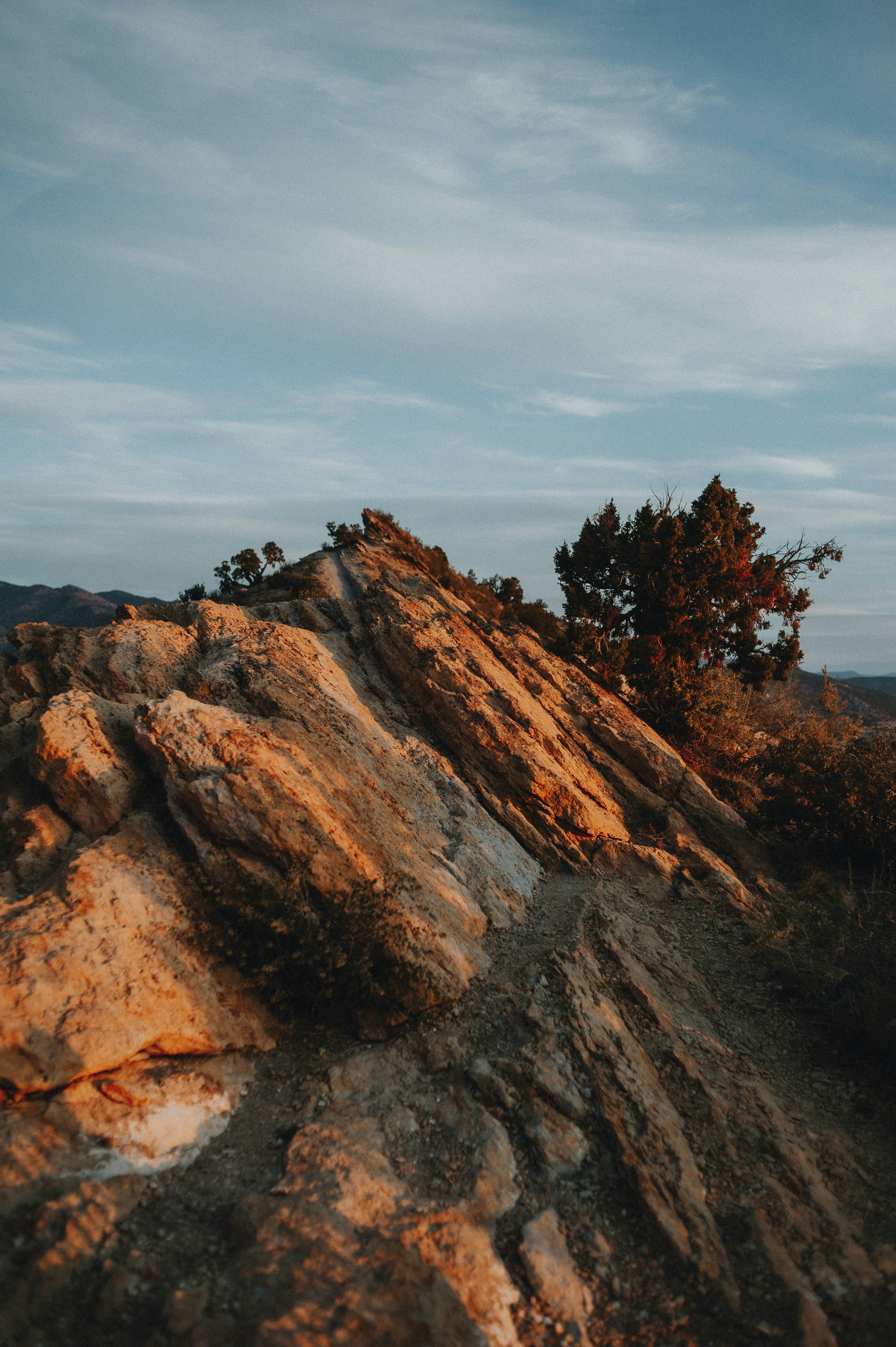 Photo by prairiepilgrim