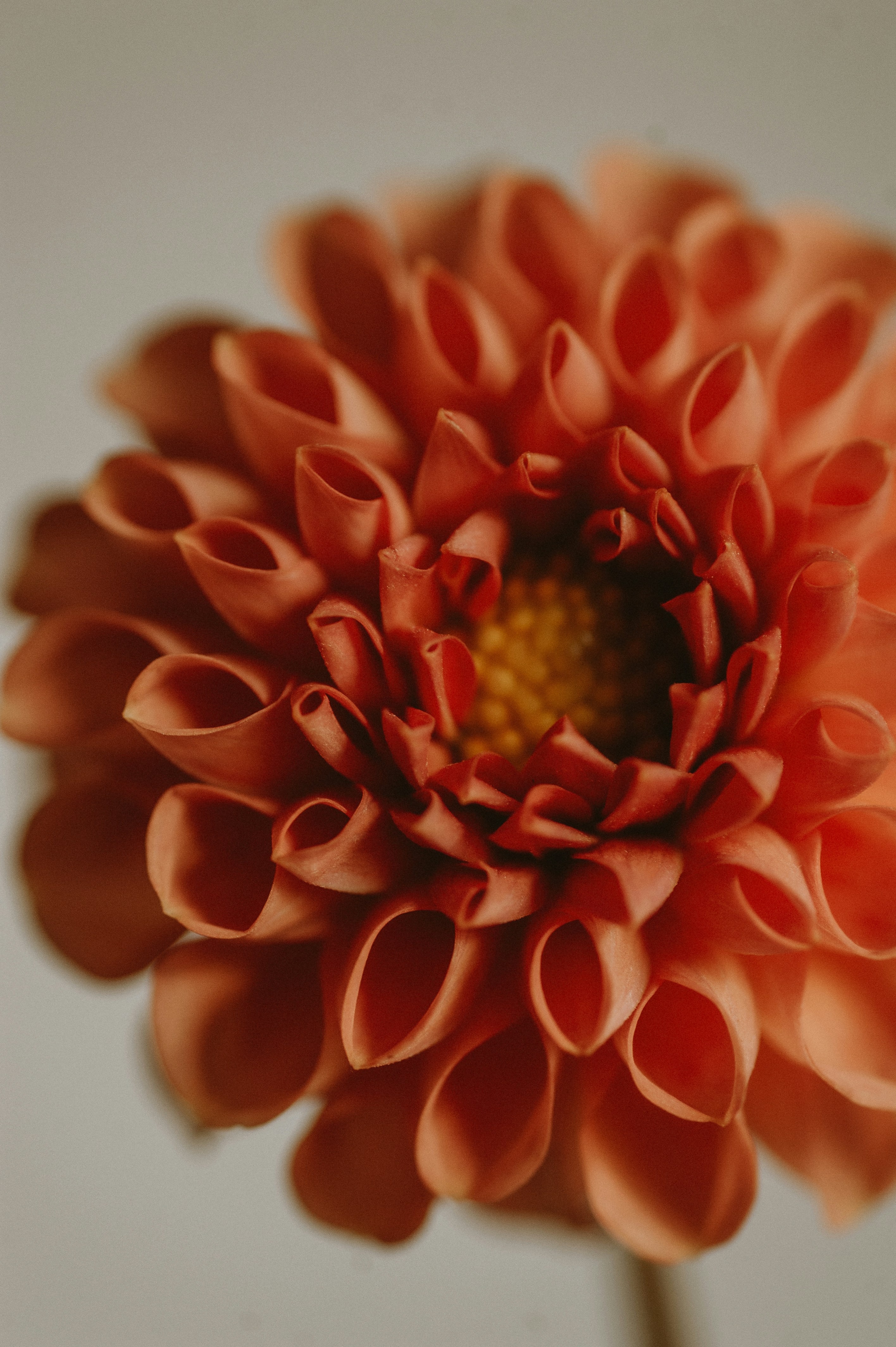 Photo by prairiepilgrim