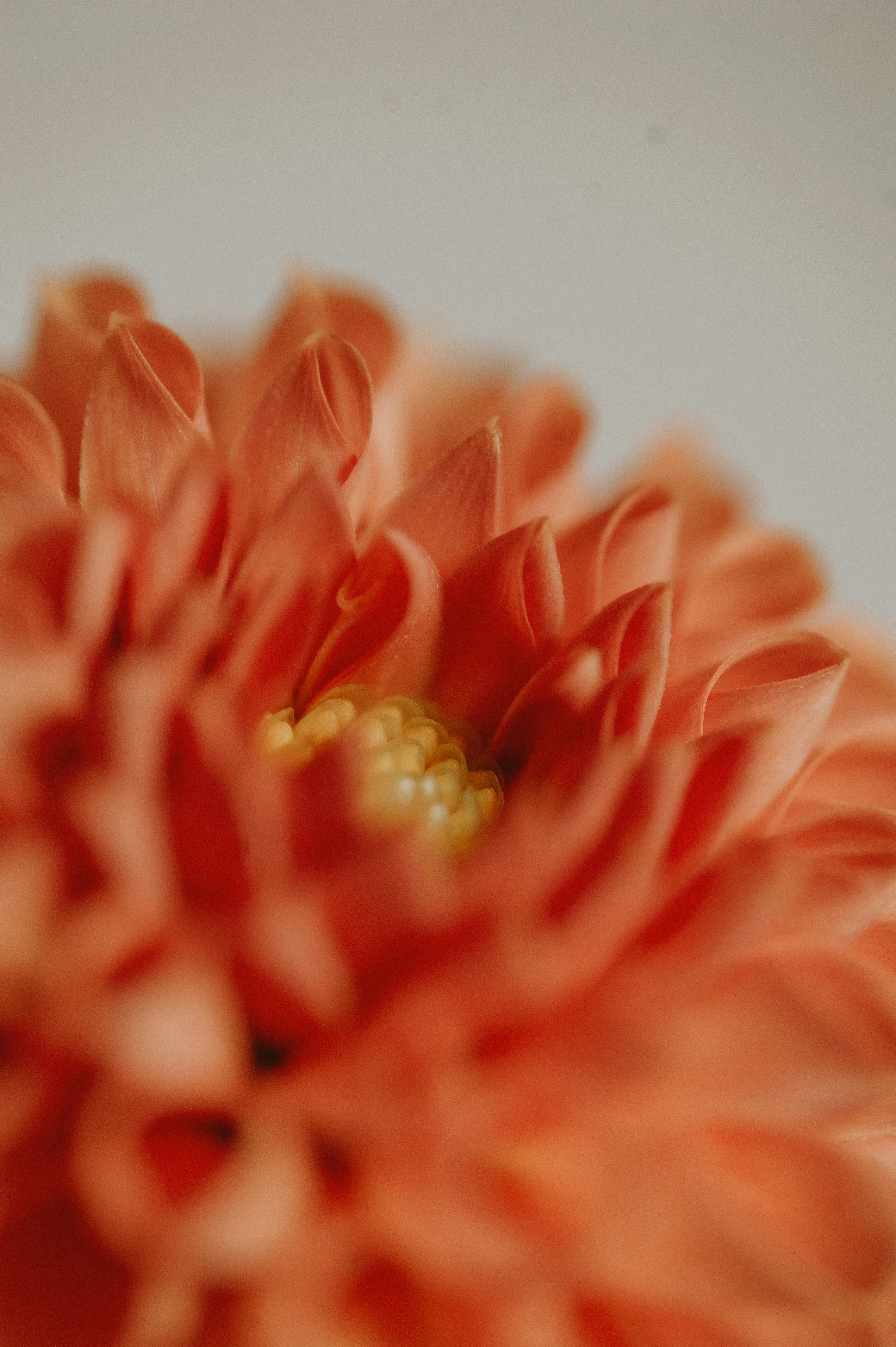 Photo by prairiepilgrim