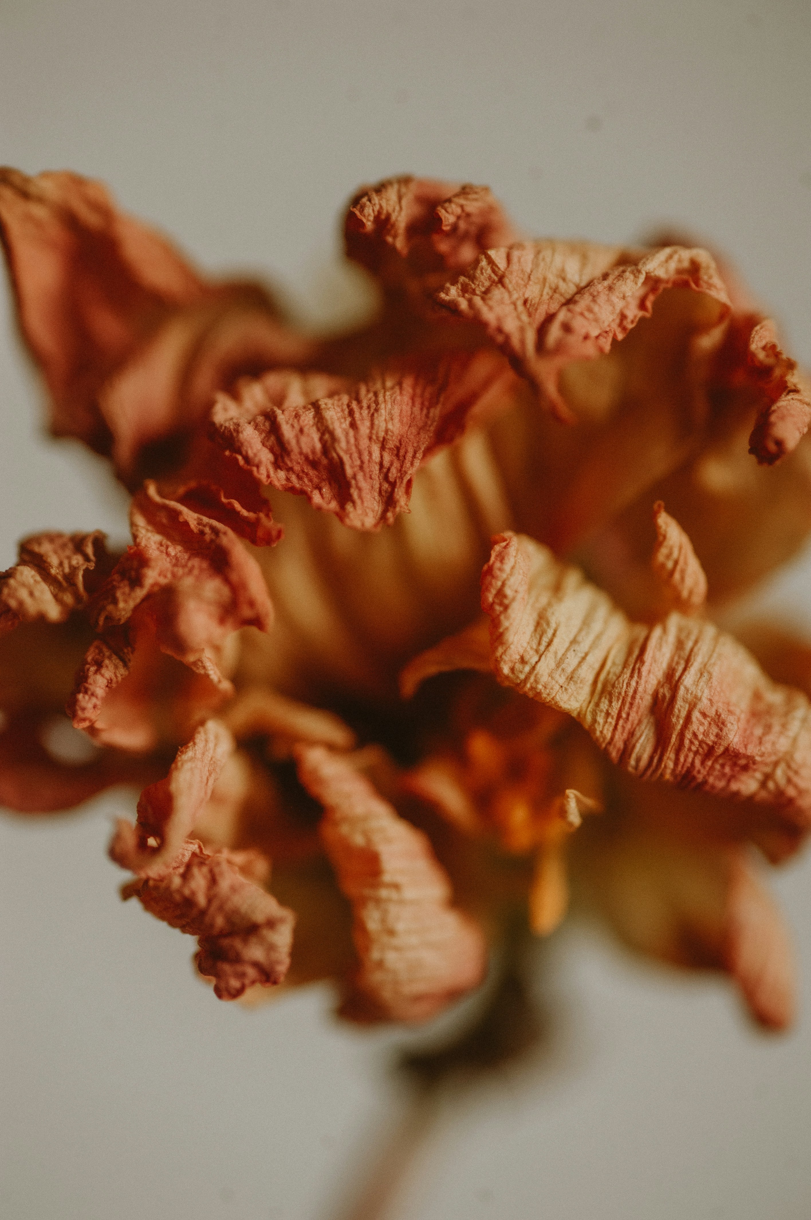 Photo by prairiepilgrim