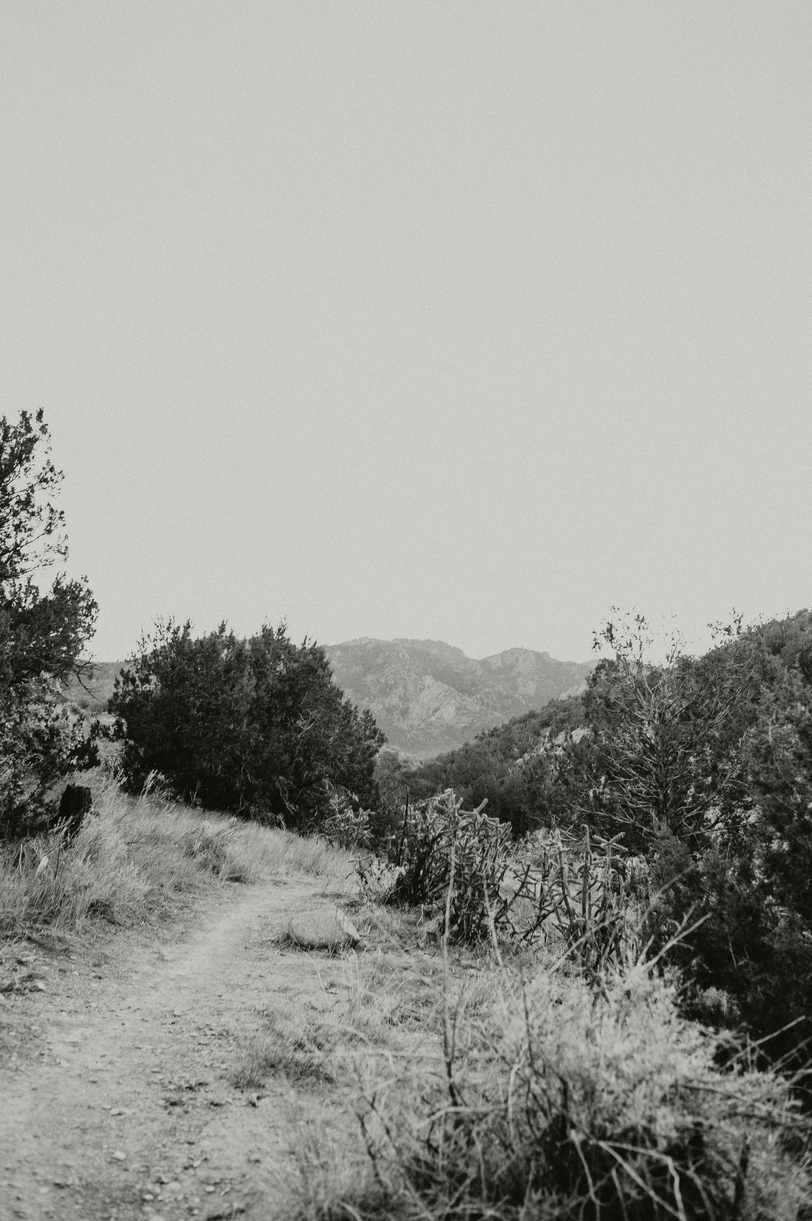 Smith Ranch Homes Menu