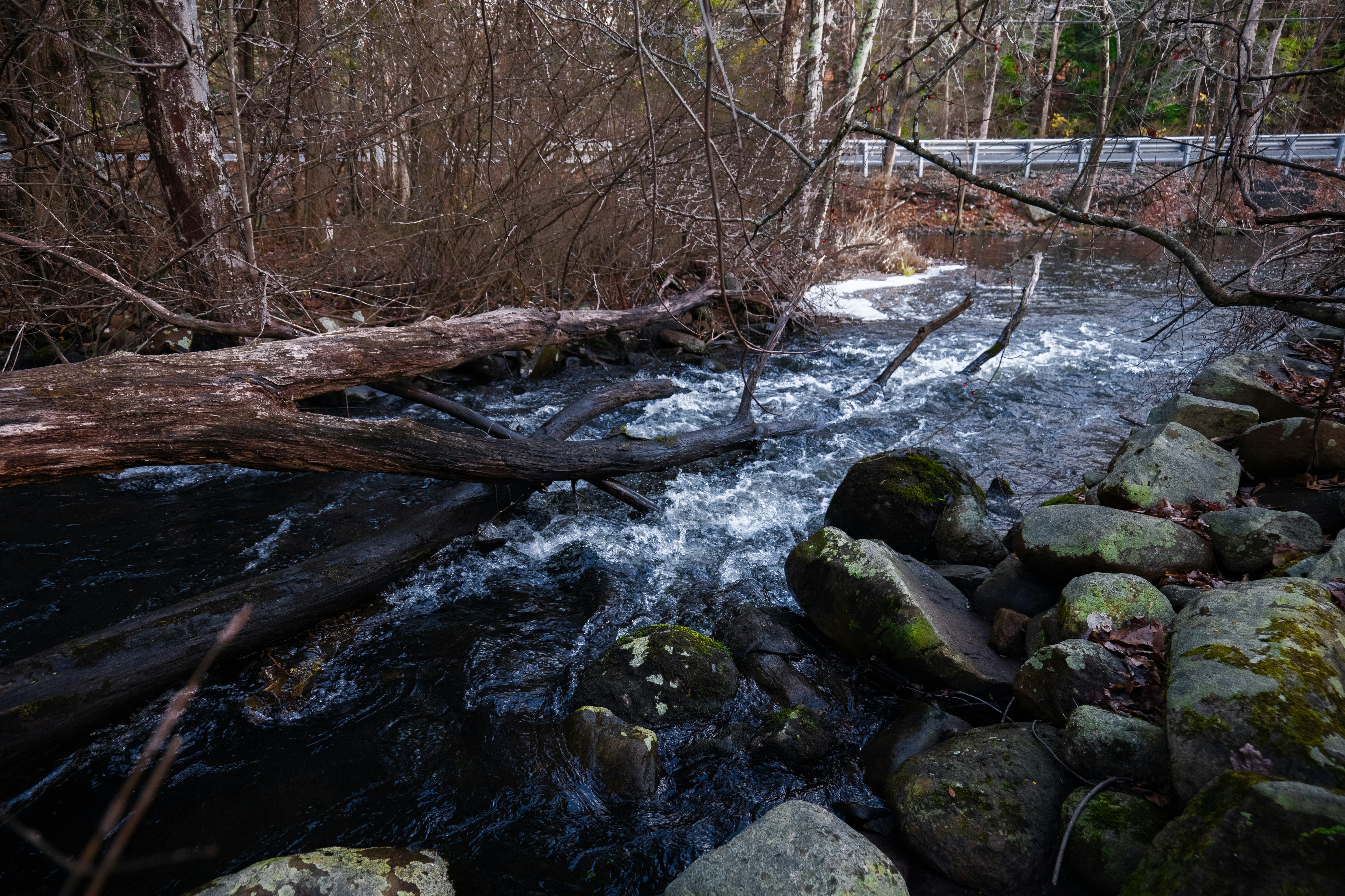 Photo by lunarimaginations