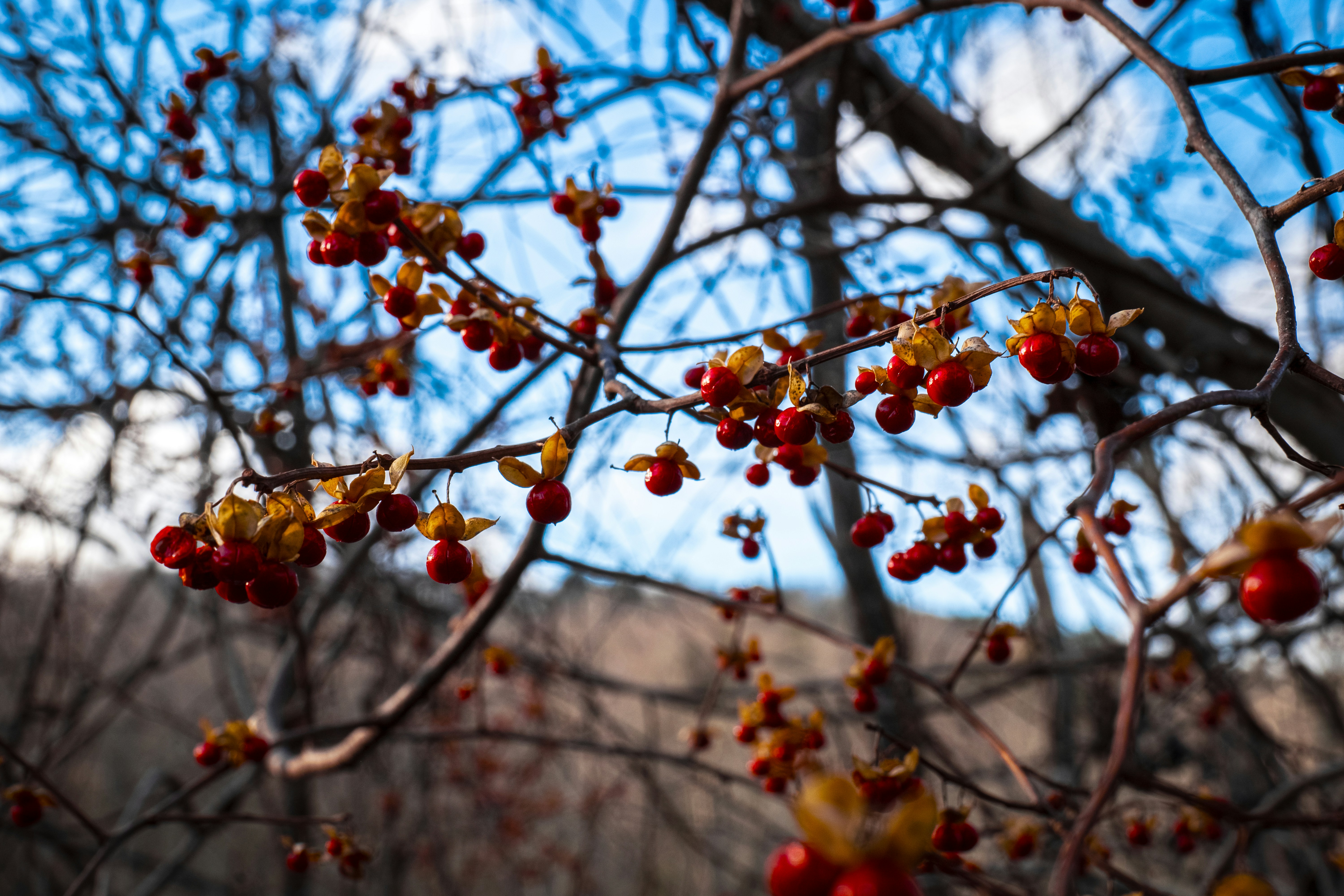 Photo by lunarimaginations