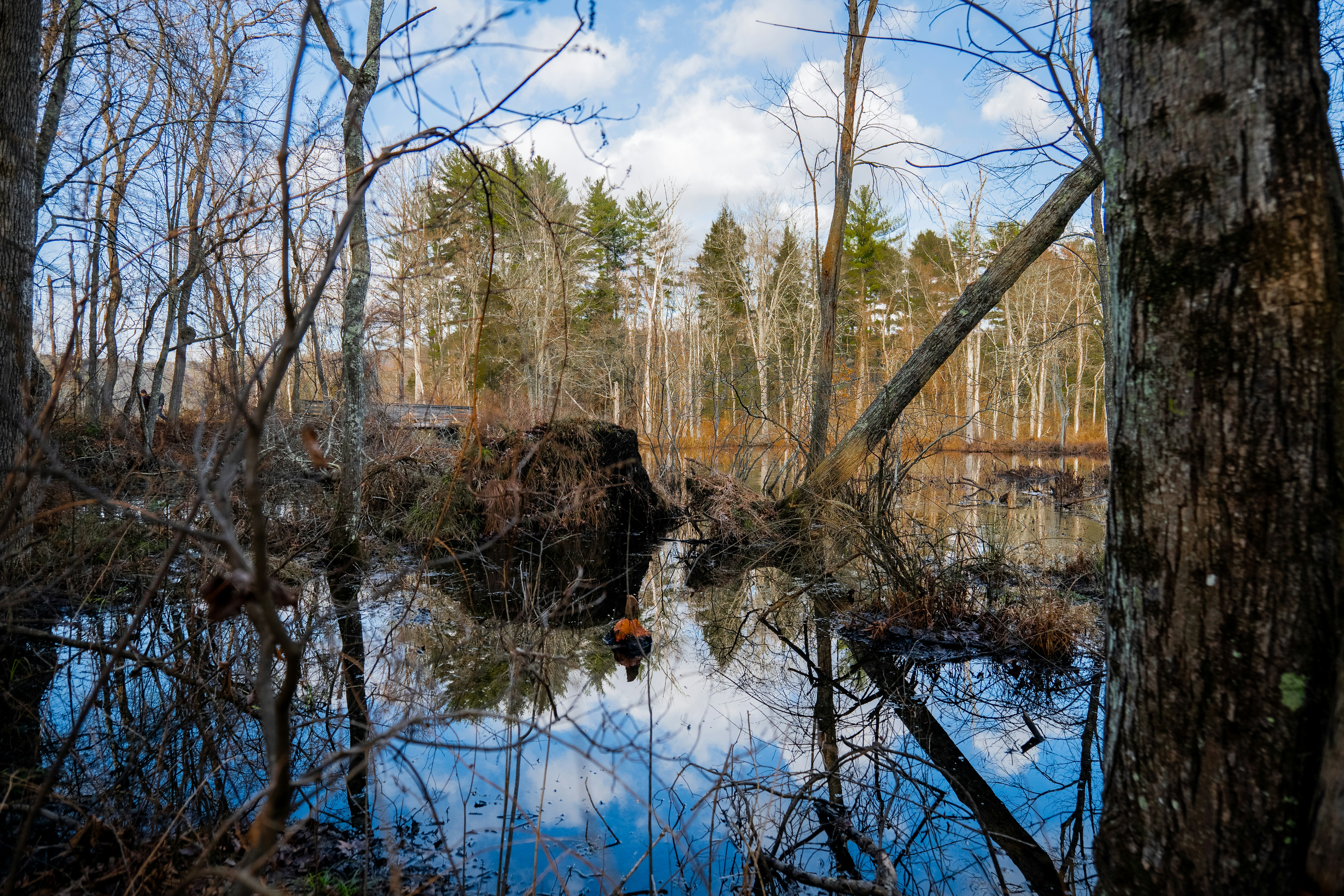 Photo by lunarimaginations