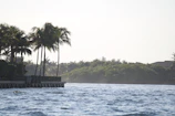 A picturesque view of palm trees swaying by the beach.