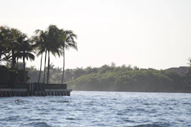 A picturesque view of palm trees swaying by the beach.