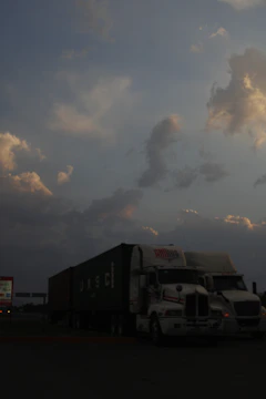 A fleet of Beylor trucks lined up ready for departure against a dark moody backdrop