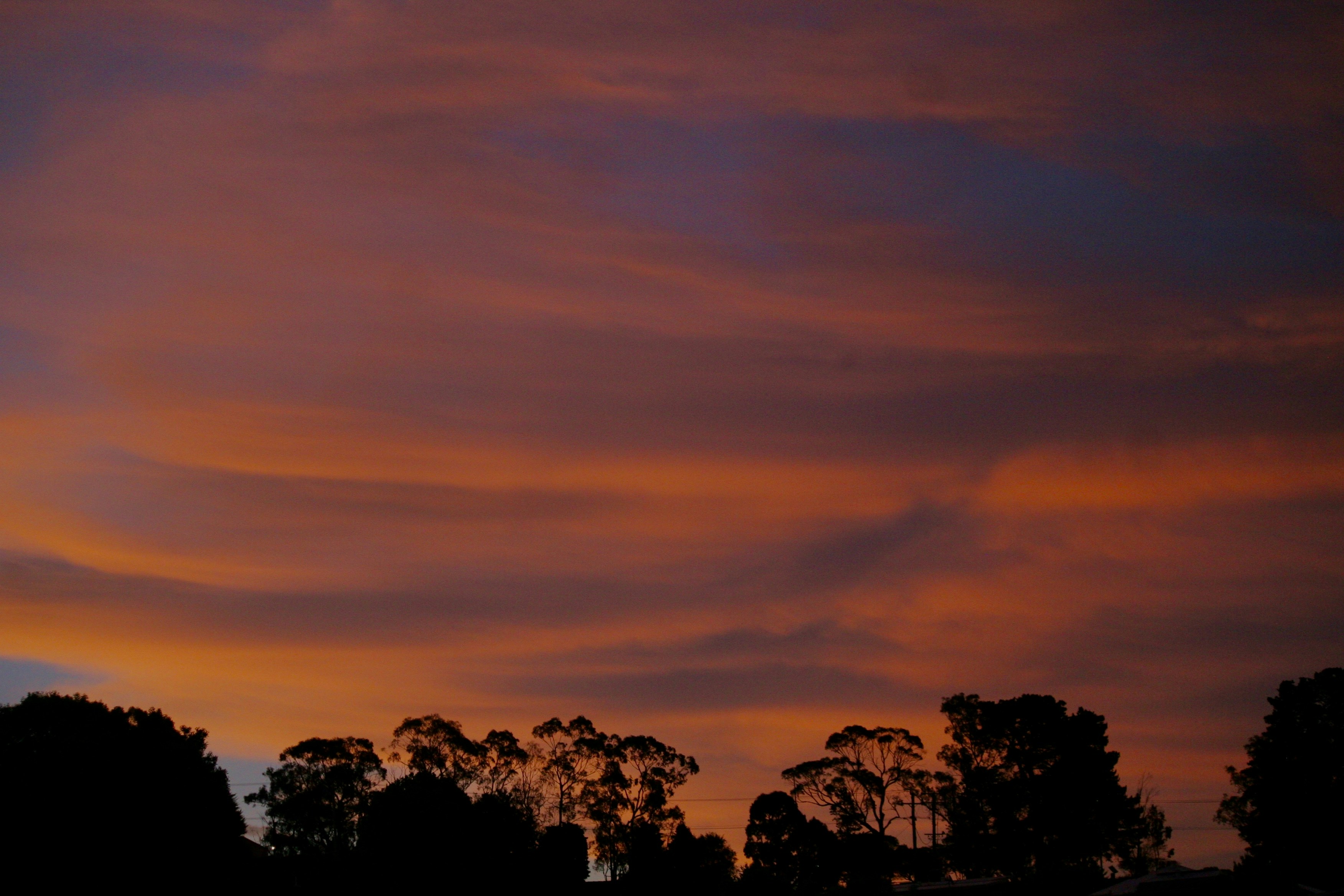 Photo by darcy_castle_roberts7