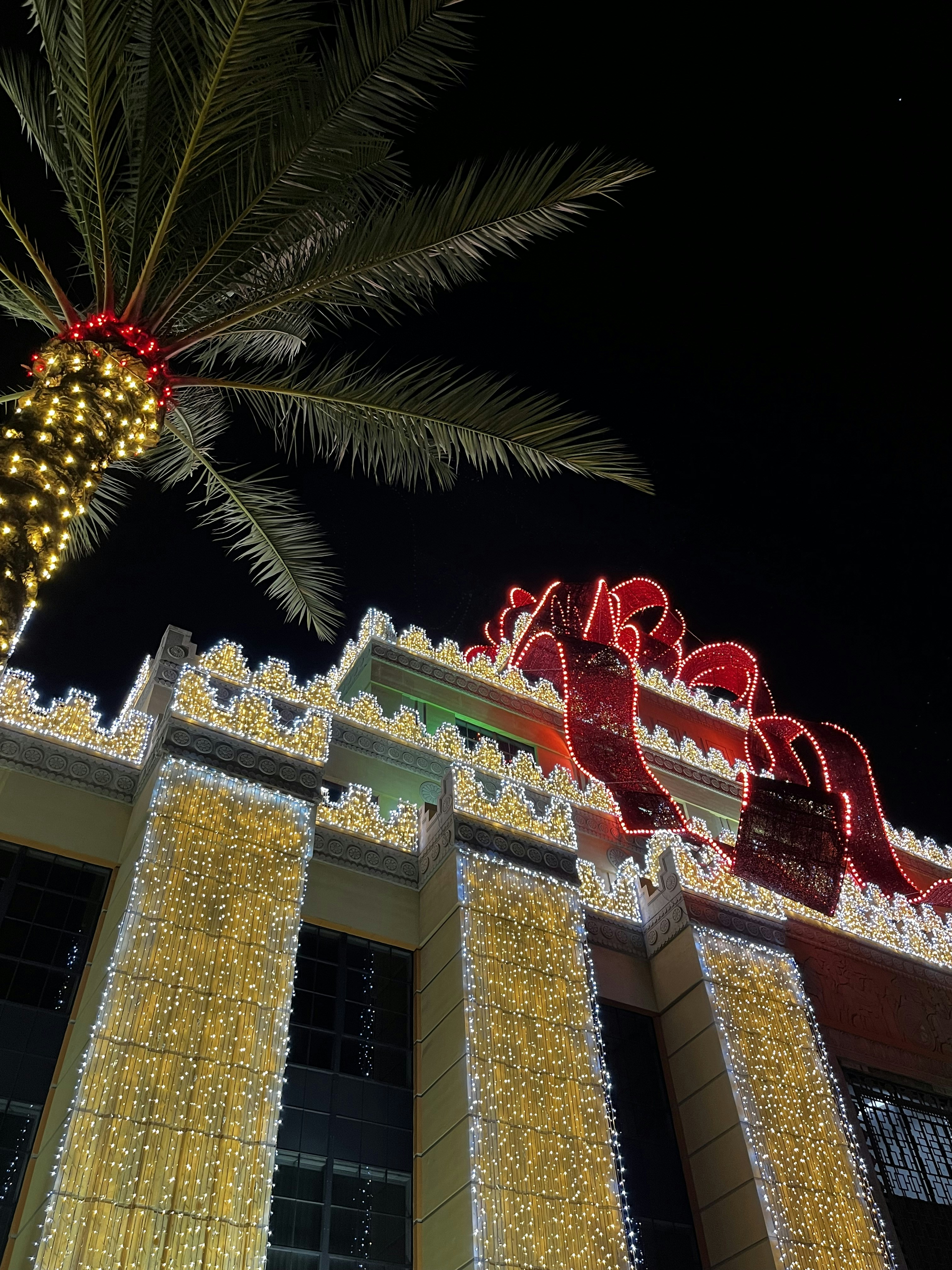 a palm tree is lit up in front of a building