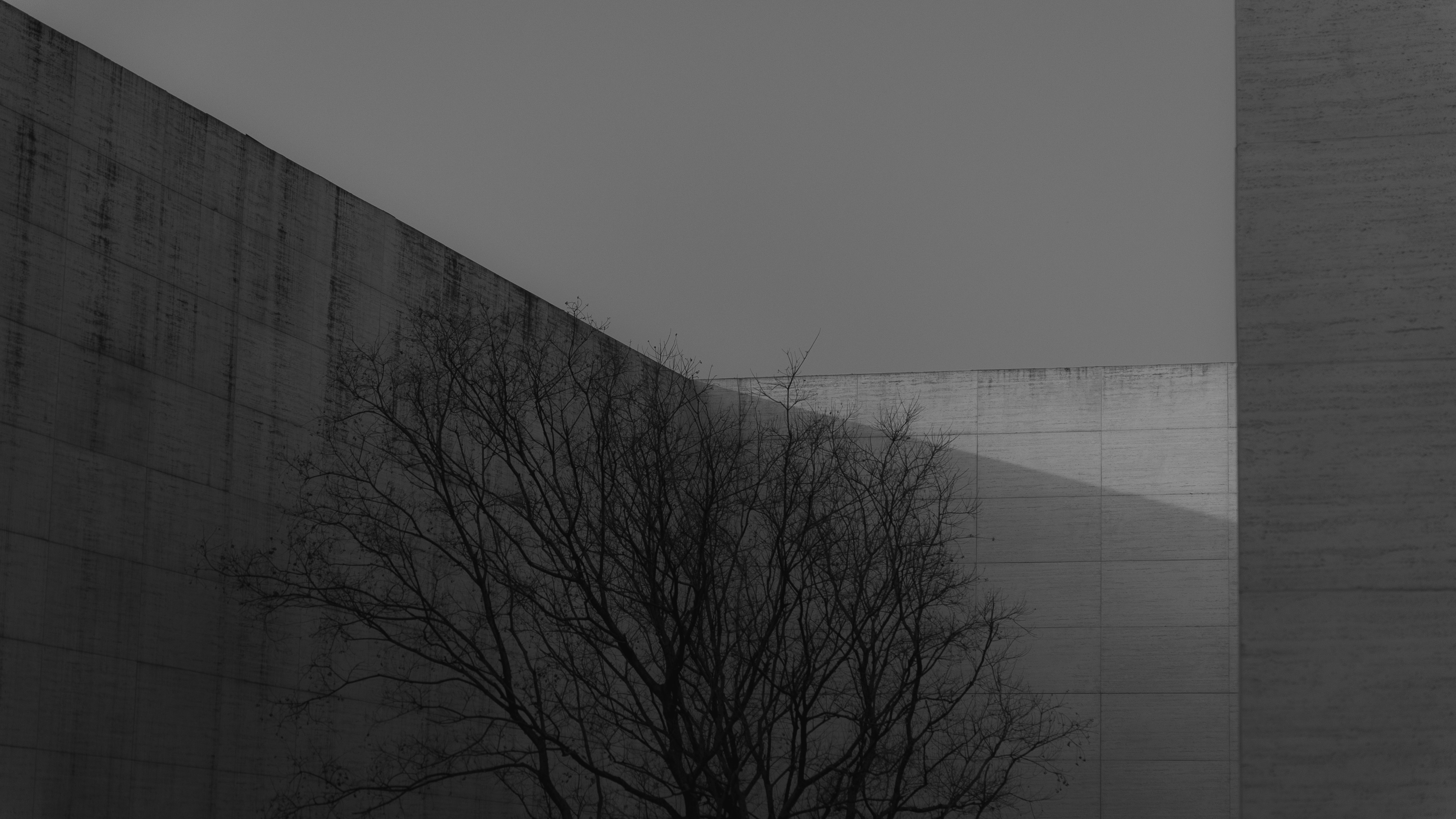 Photo by lolanto1776