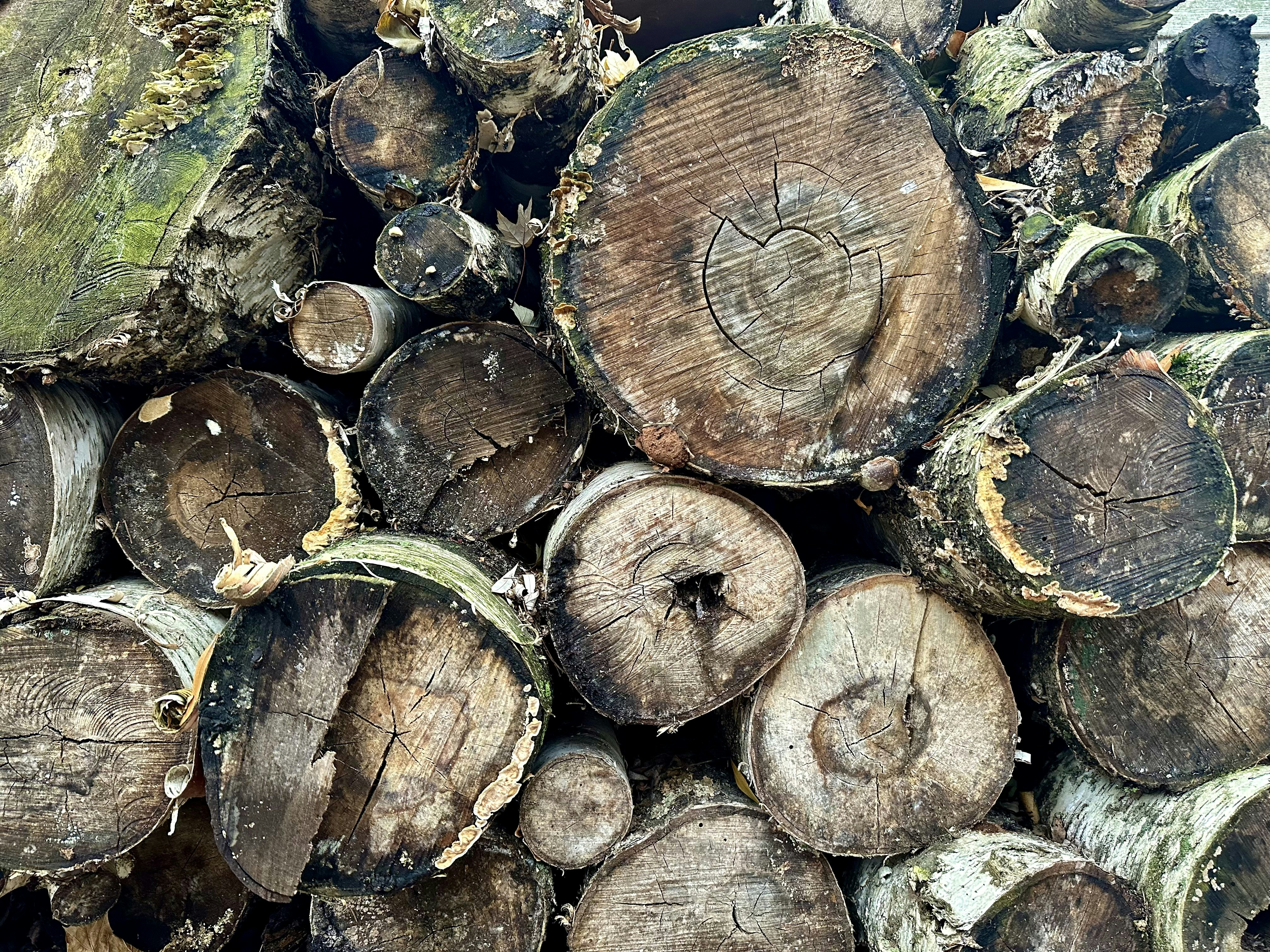 a pile of cut logs stacked on top of each other