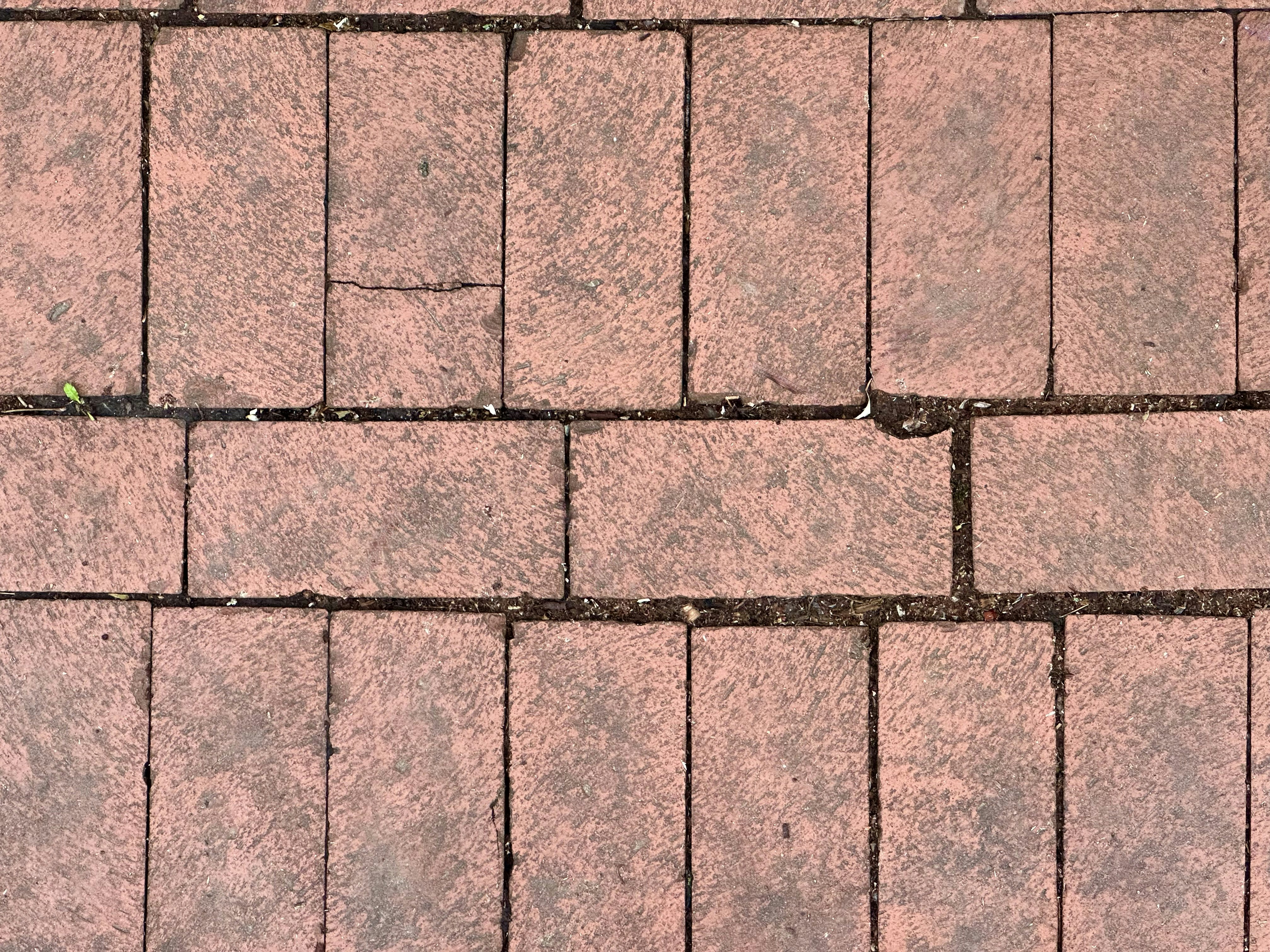 Why Dogs Cool Off on the Floor