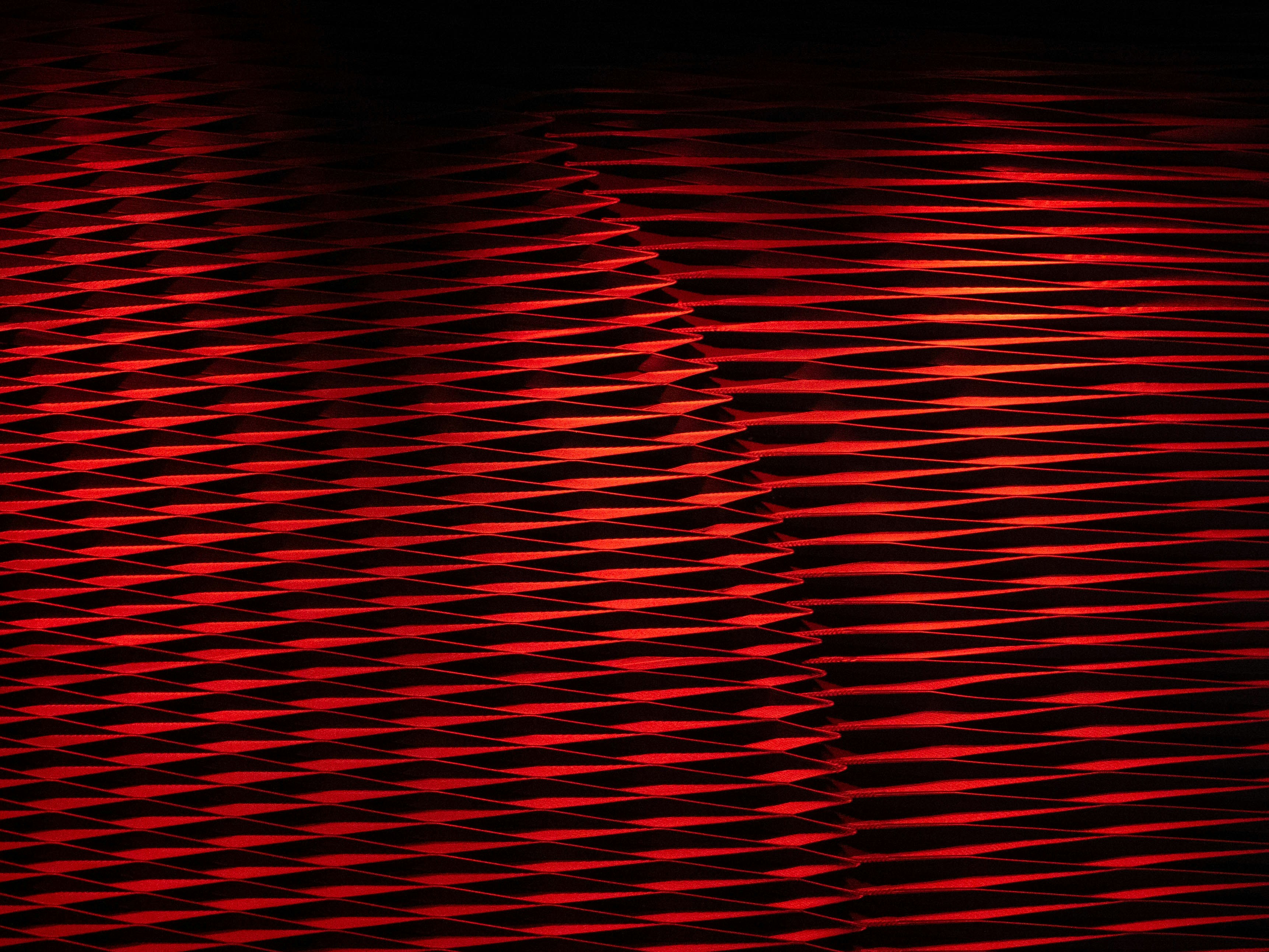 Photo by maivophucthanh