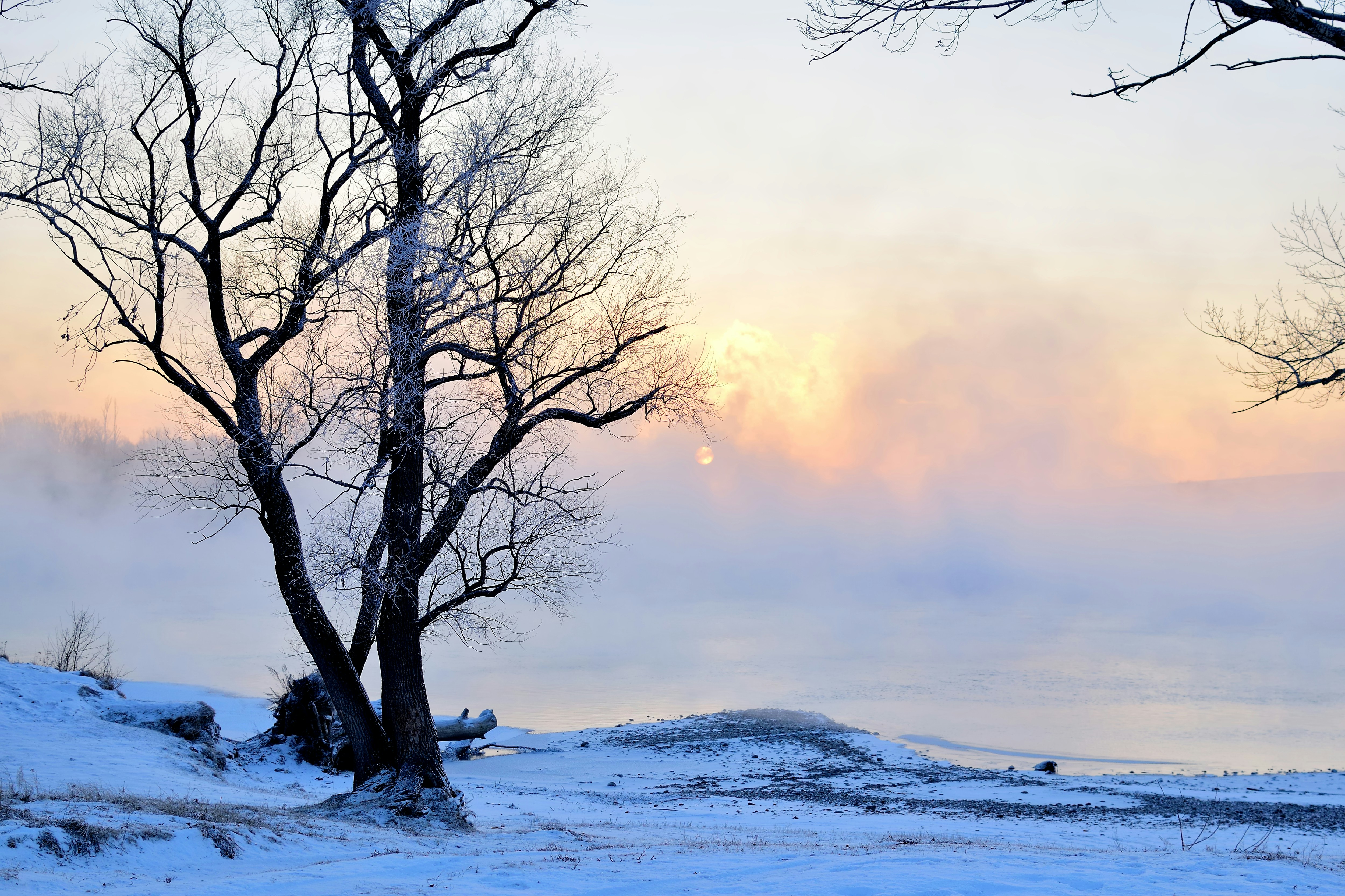 the sun is setting behind the trees in the snow