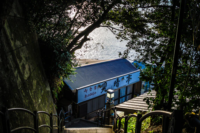 Hidden Attractions