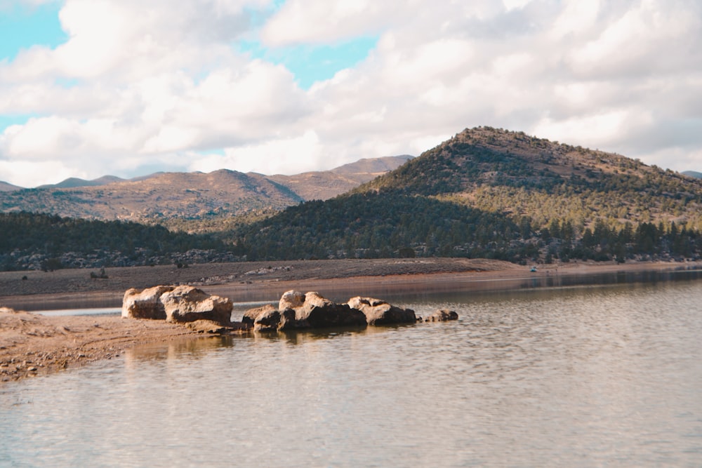 a body of water surrounded by mountains and trees