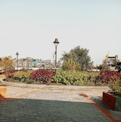 A well-maintained public garden area with paved pathways, vibrant red and green foliage, and street lamps. The background features a sizable sign structure with letters and partially visible urban buildings.