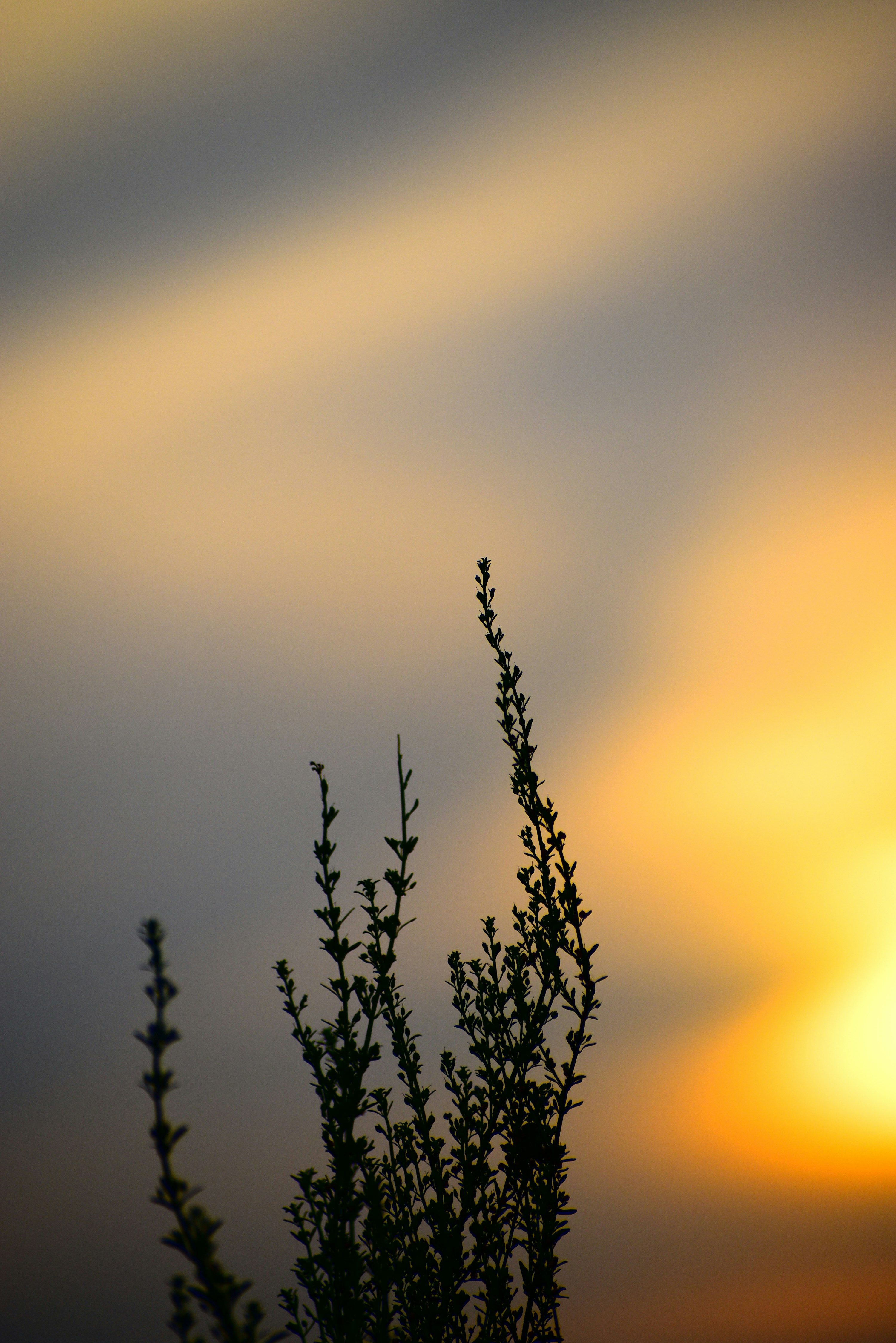 Photo by hacker_camerwork