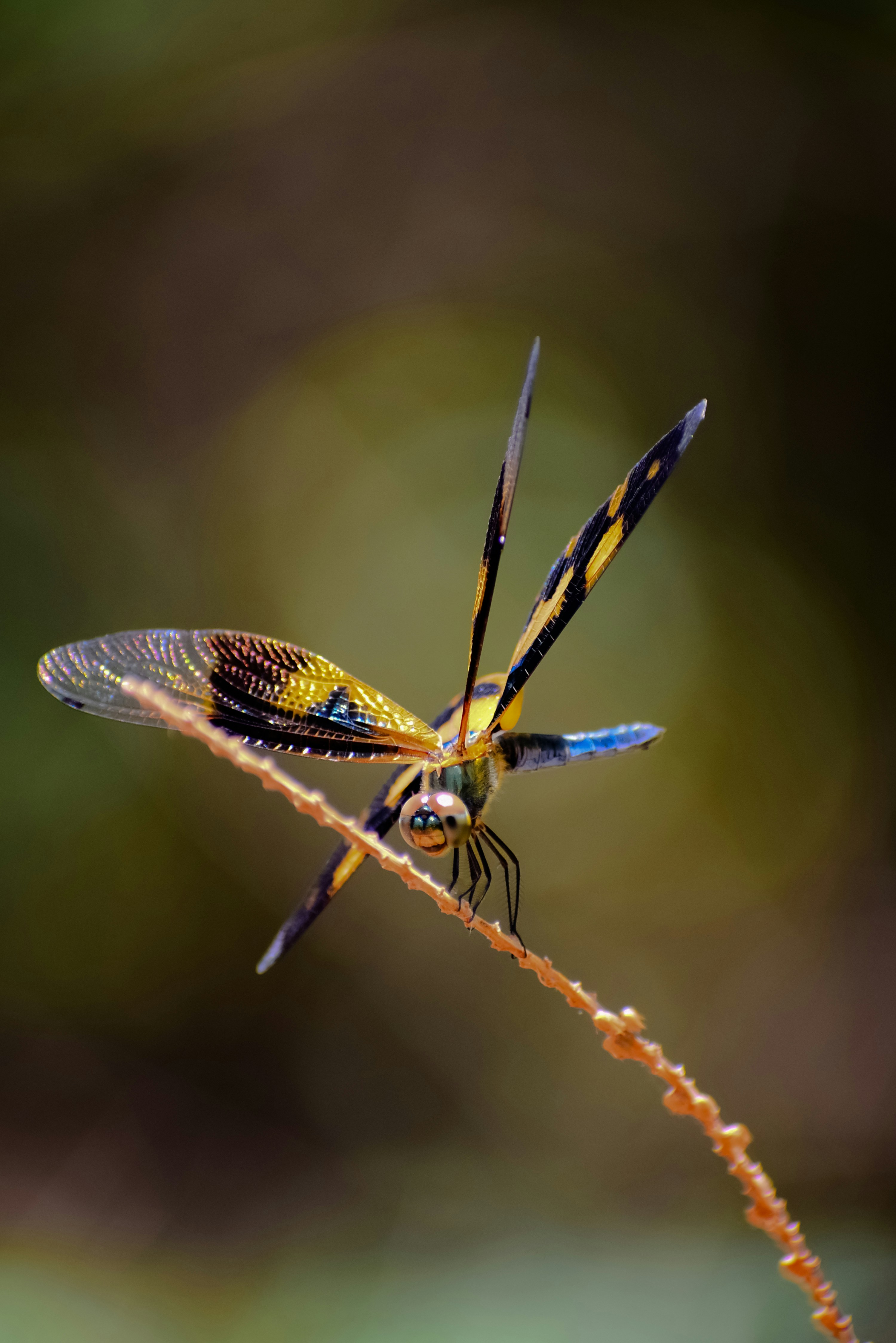 Photo by hacker_camerwork