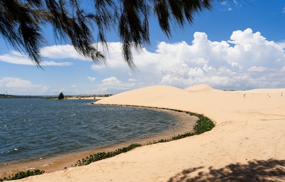 A serene landscape featuring a sandy desert with gently rolling dunes and a body of water adjacent to the sand. The surface of the water is calm, and there are scattered patches of greenery along its edge. Above, the sky is a vibrant blue with large, fluffy white clouds. A few tree branches hang down from the top of the image, creating a natural frame.