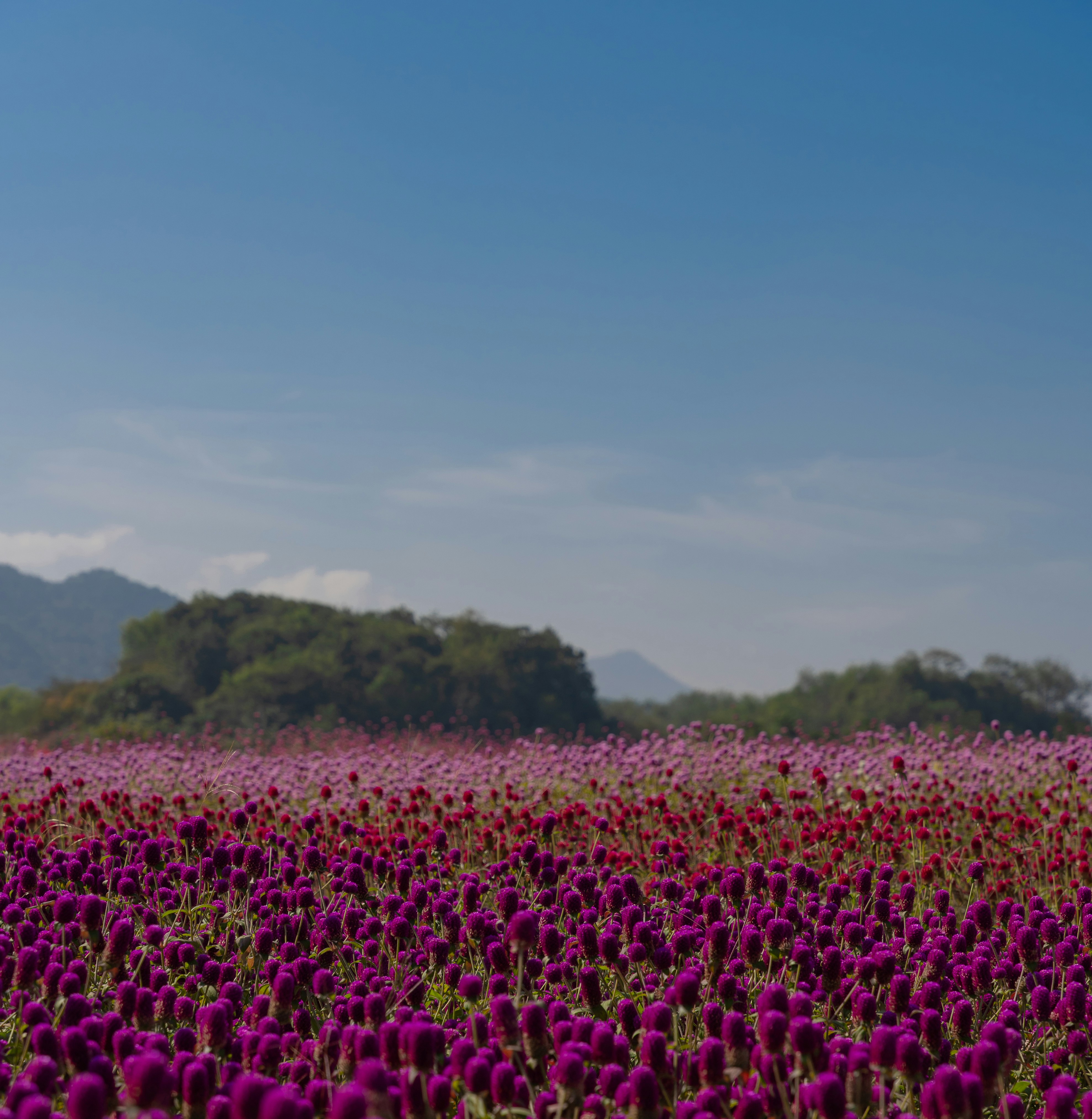 photo 1702192286767 dcba568901f8?crop=entropy&cs=tinysrgb&fit=max&fm=jpg&ixid=M3w3NDEzNTd8MHwxfHNlYXJjaHw1OXx8bGFuZHNjYXBlfGVufDF8Mnx8fDE3NTY0Nzg5NjJ8MA&ixlib=rb 4.1 Vietadvisor