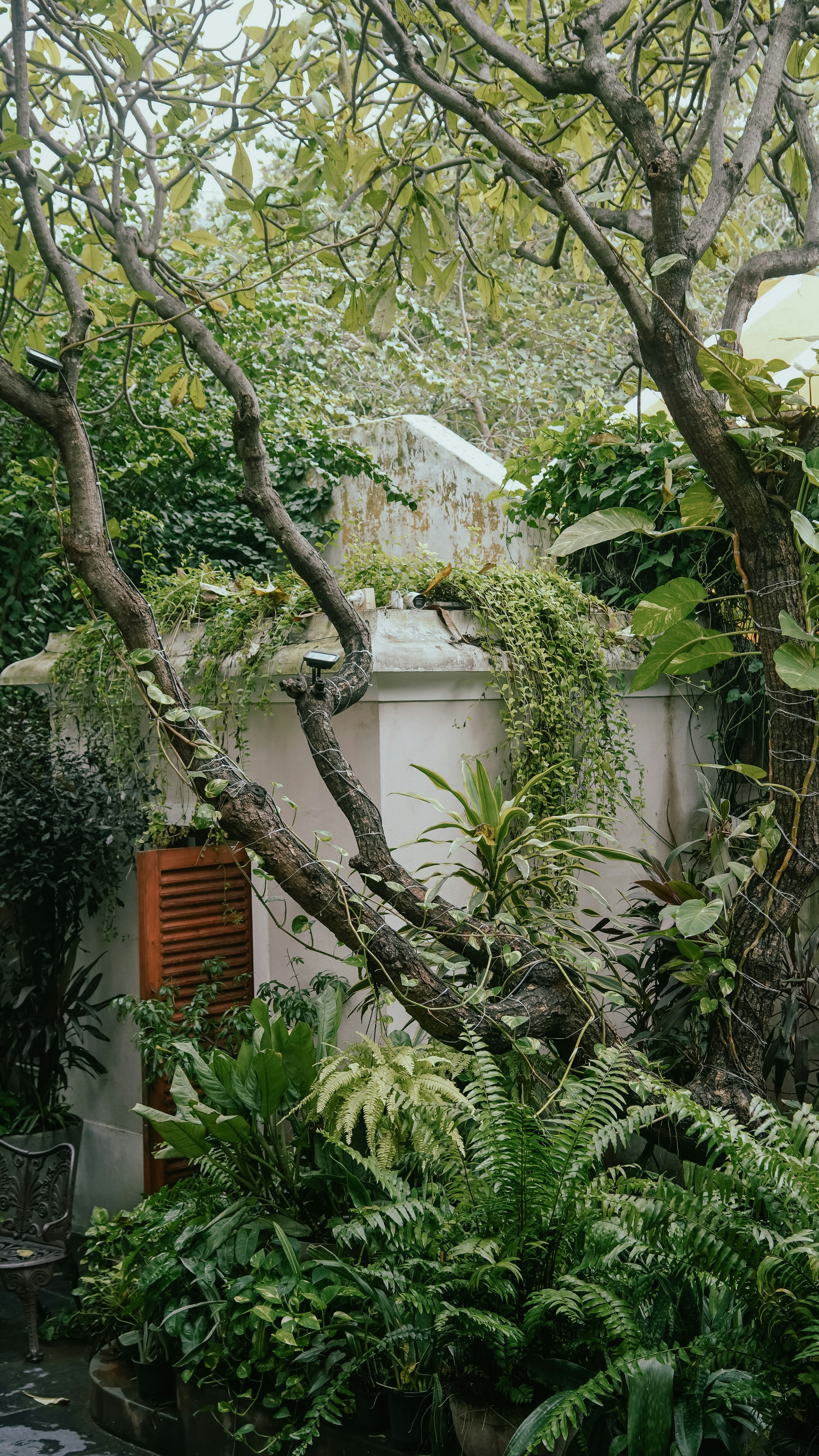 Photo by miruthulaadiyamane