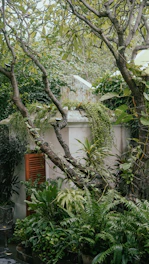 Shady garden corner with lush green plants creating a cool, peaceful atmosphere.
