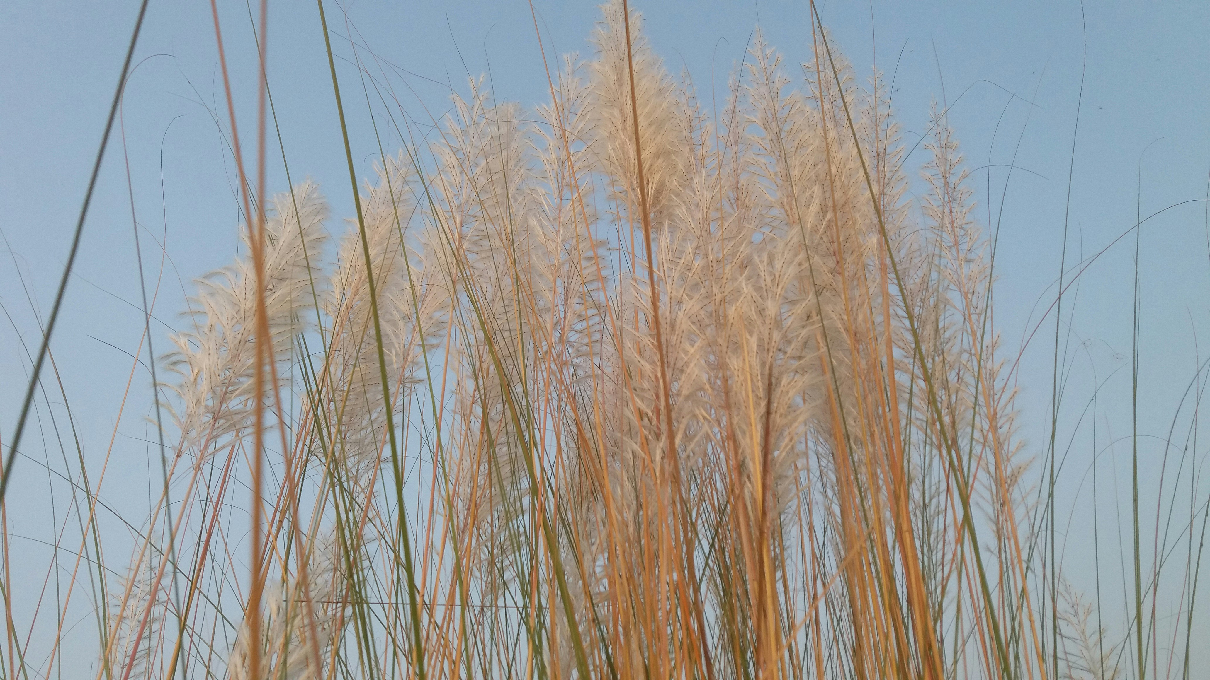 Photo by libsonlissa