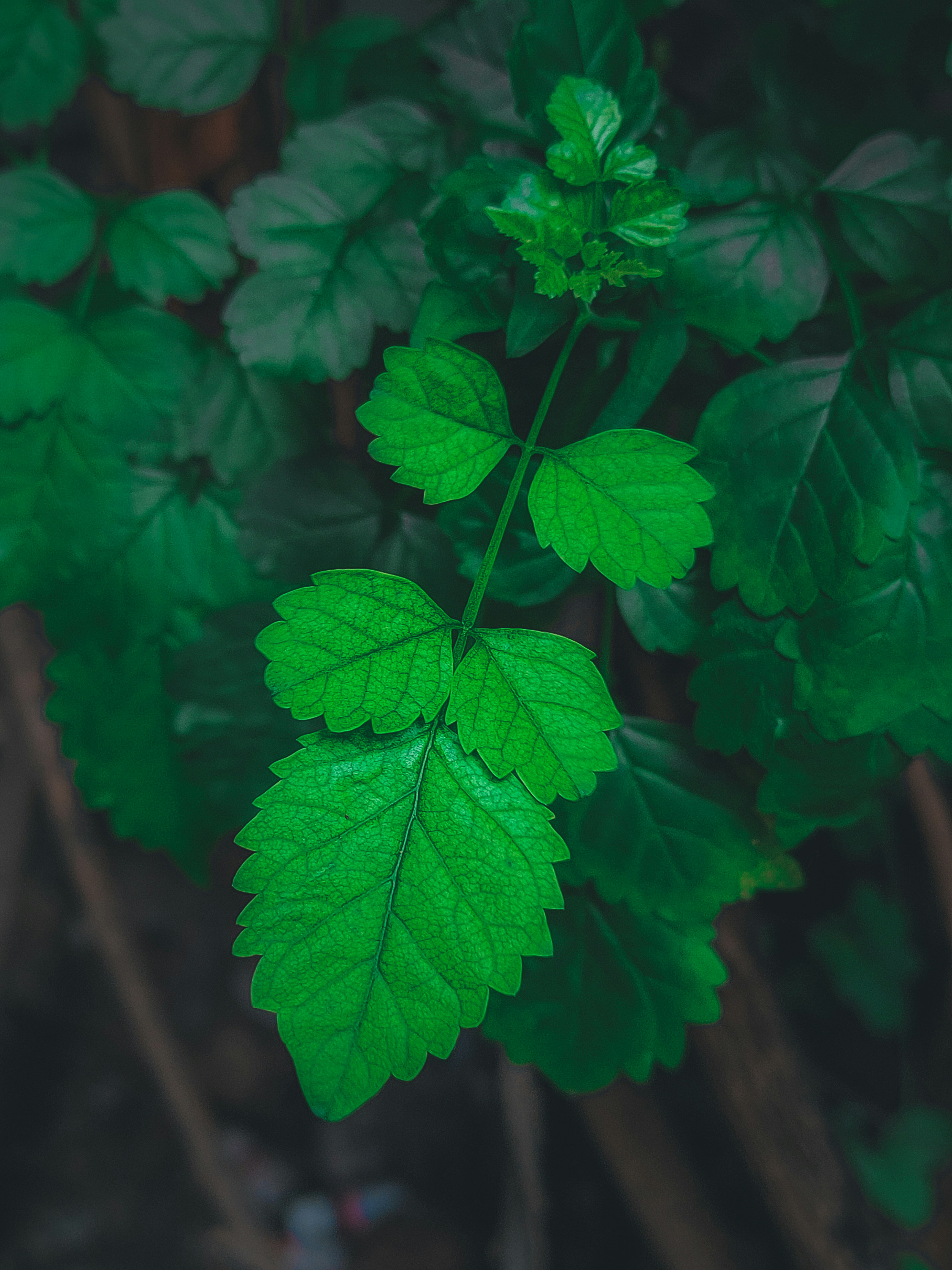 Photo by sujaypaulsp