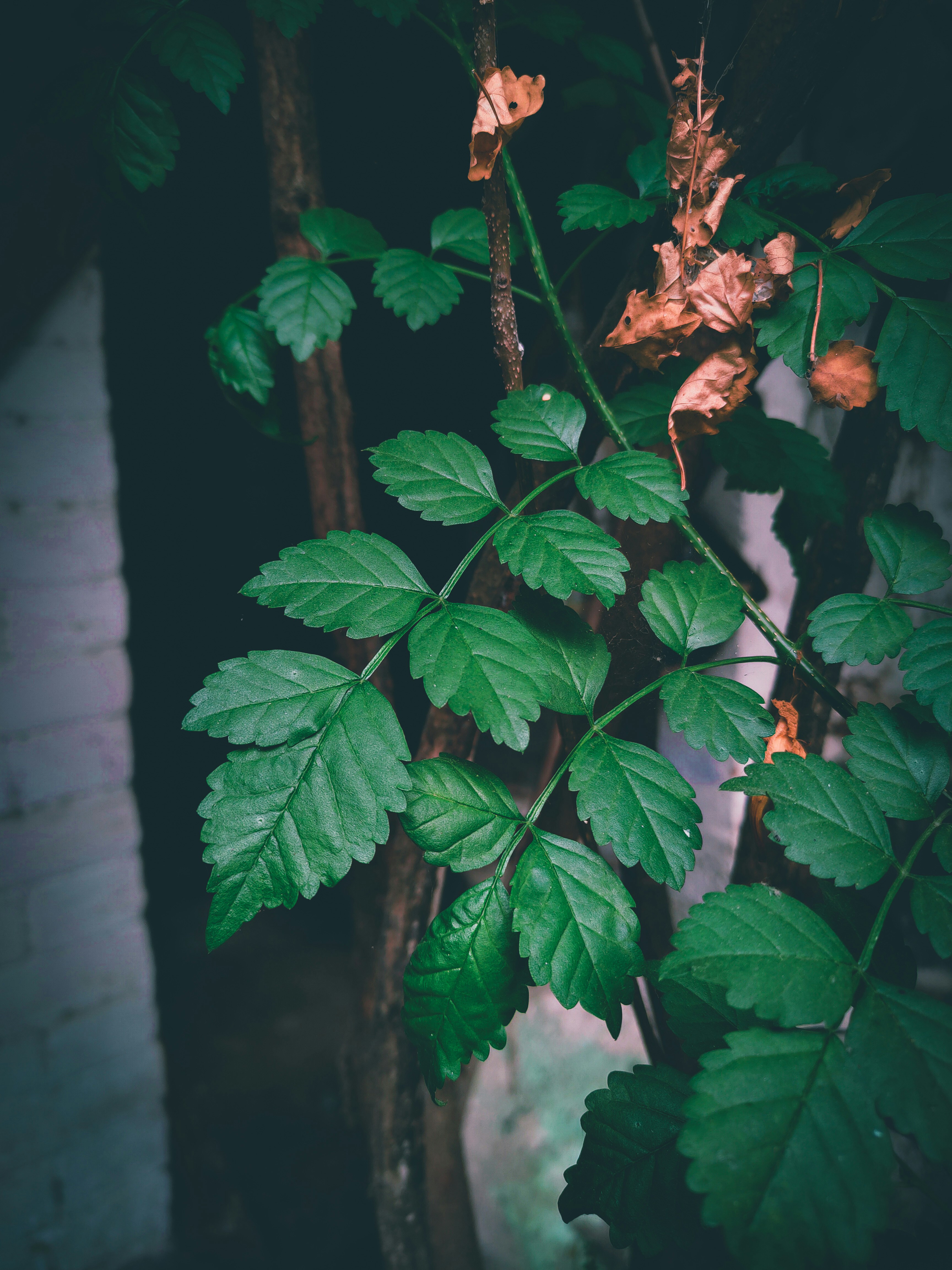 Photo by sujaypaulsp