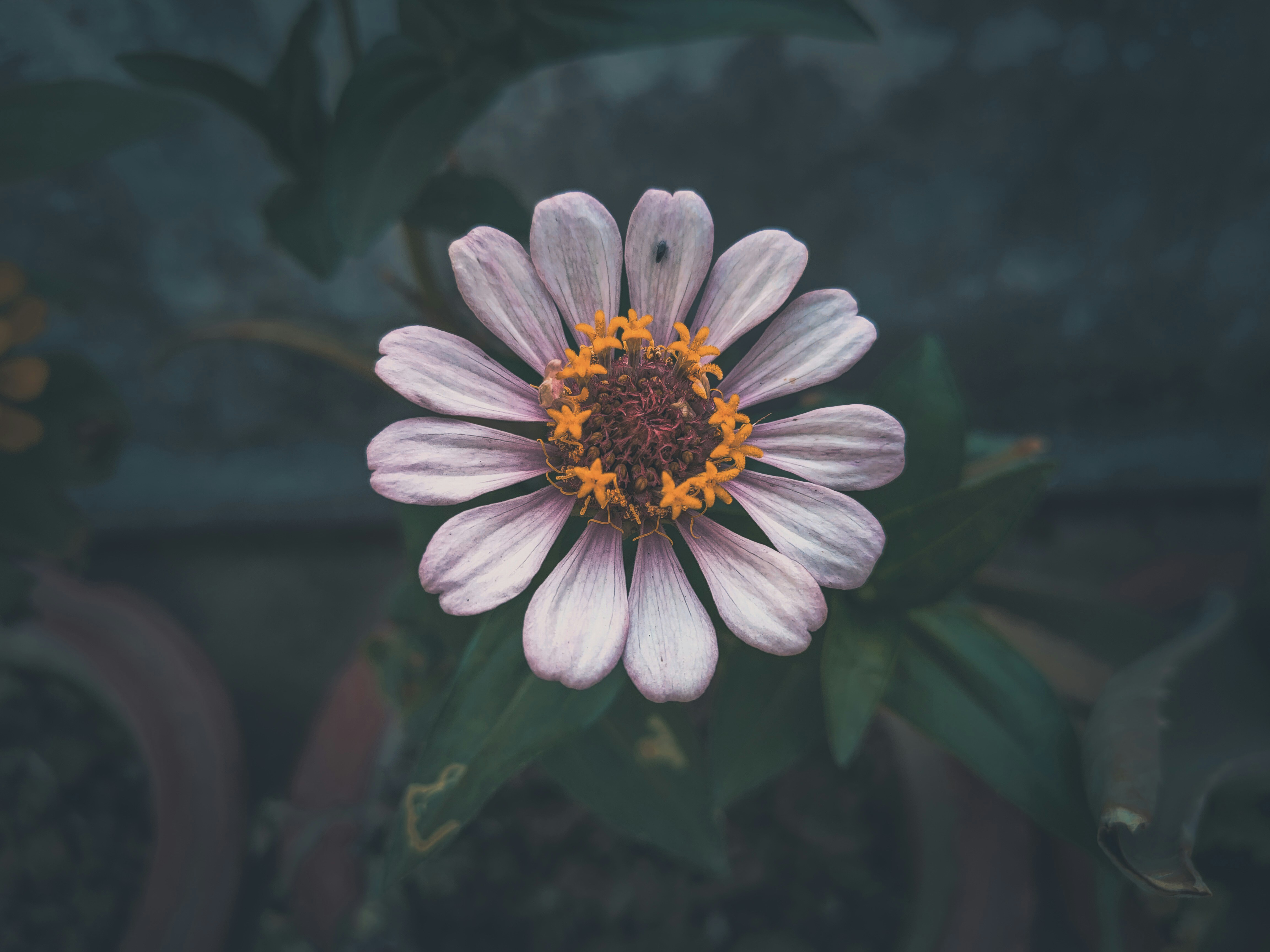 Photo by sujaypaulsp