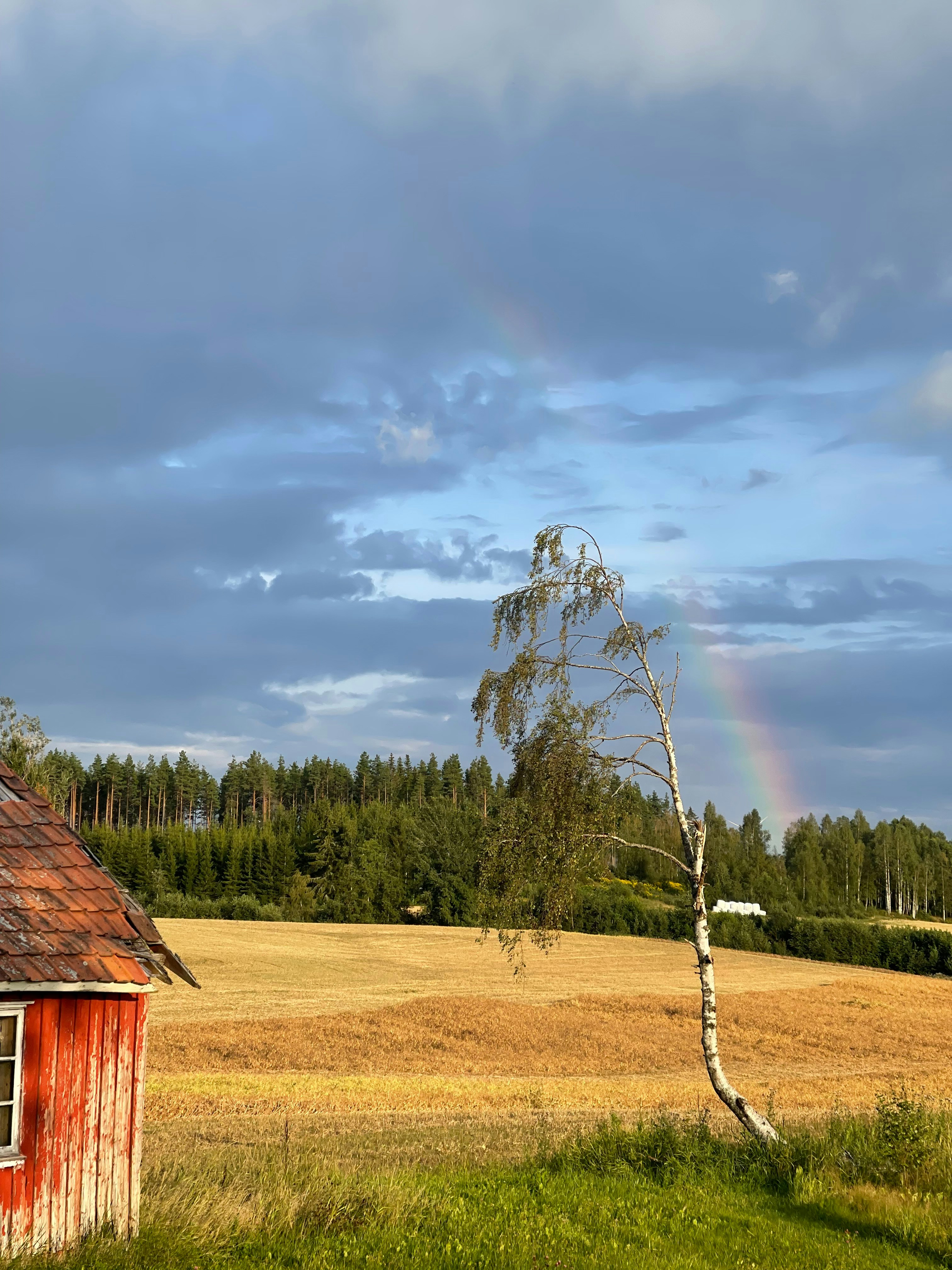 Photo by lailasynove