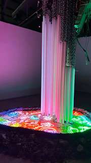 Neoflex lighting installation outlining a storefront with bright, flexible neon lights