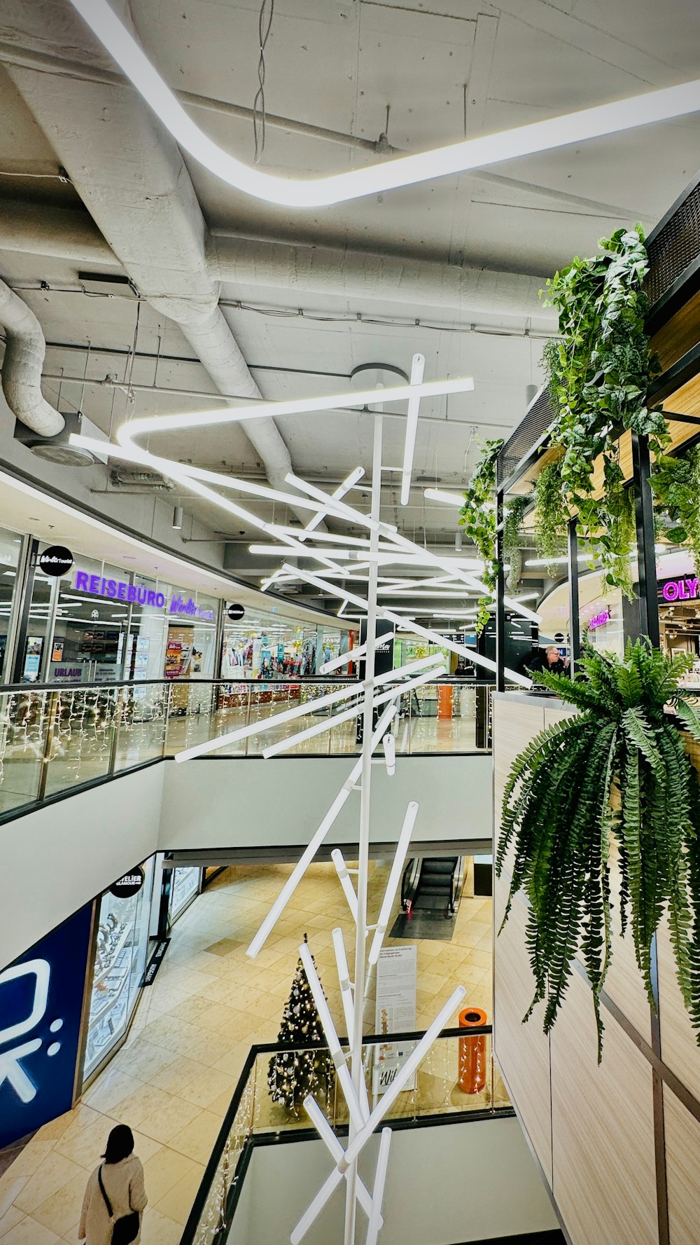a plant hanging from the ceiling of a shopping mall
