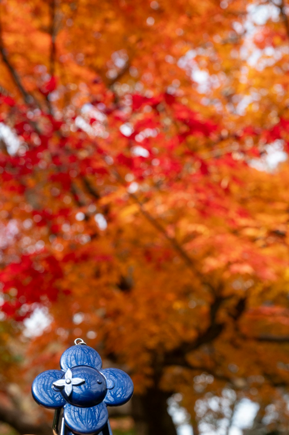 a blue fire hydrant sitting in front of a tree