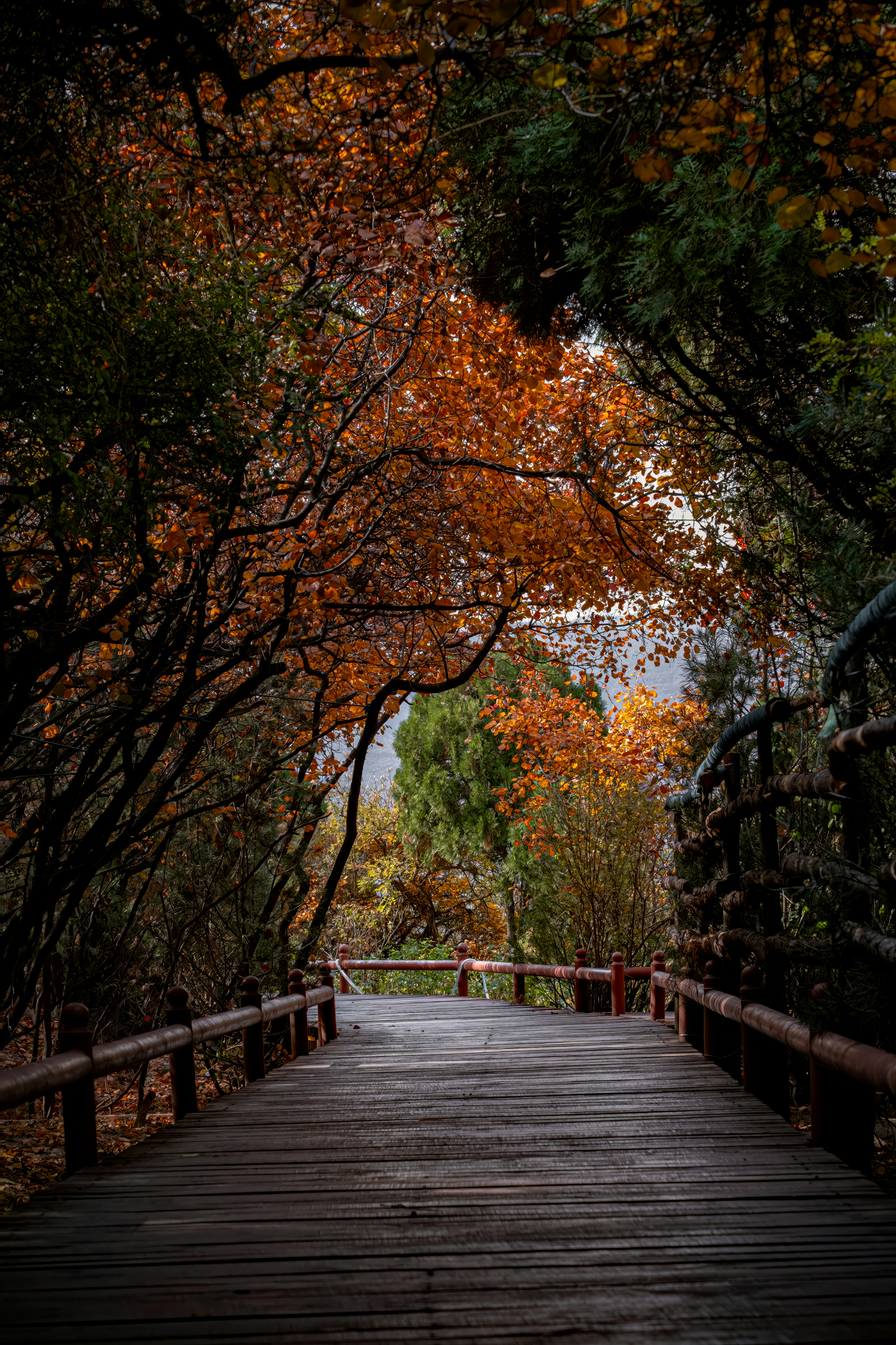 Photo by hattrick1996