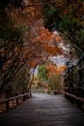 a wooden walkway surrounded by trees with orange leaves