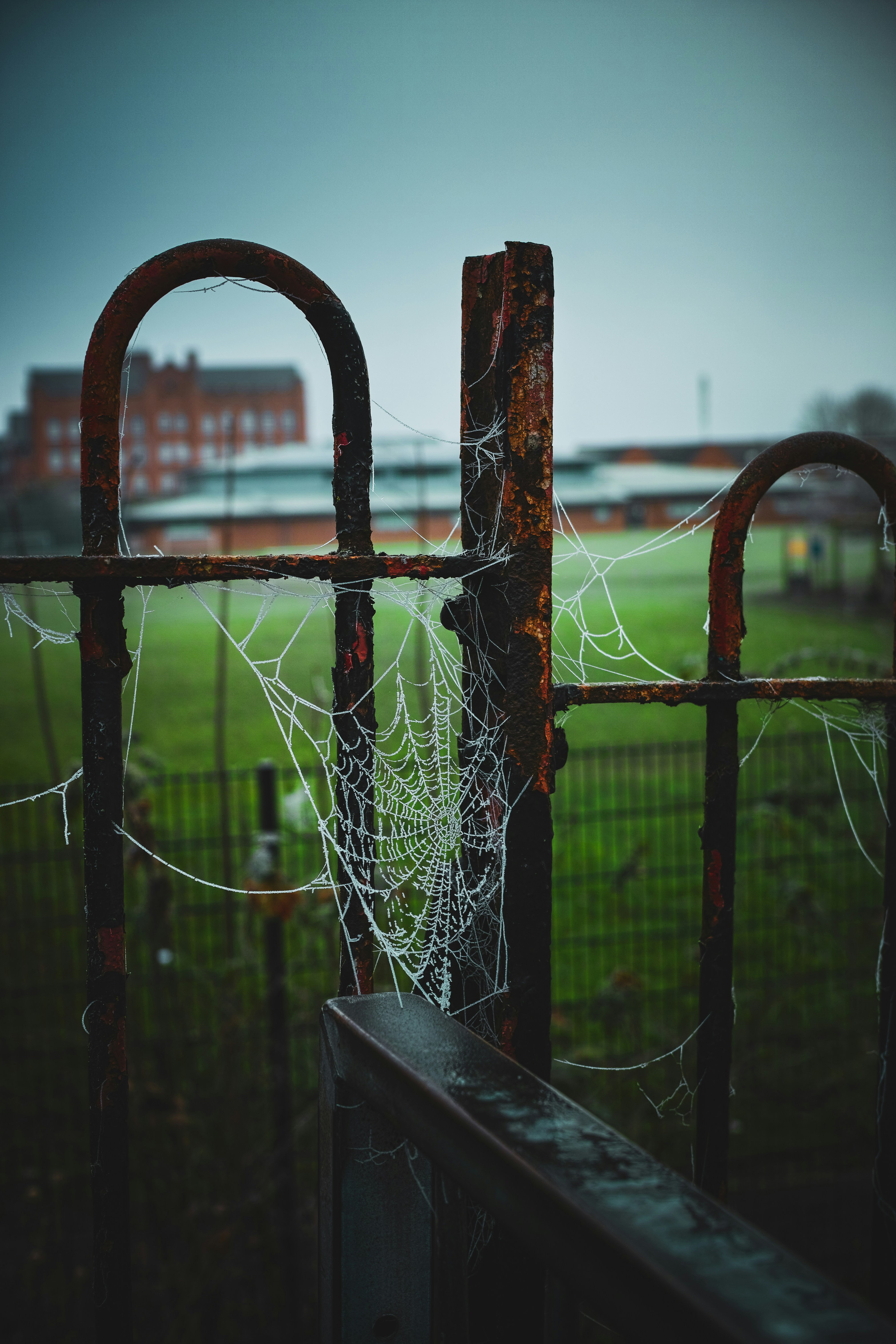 a fence that has some kind of spider web on it